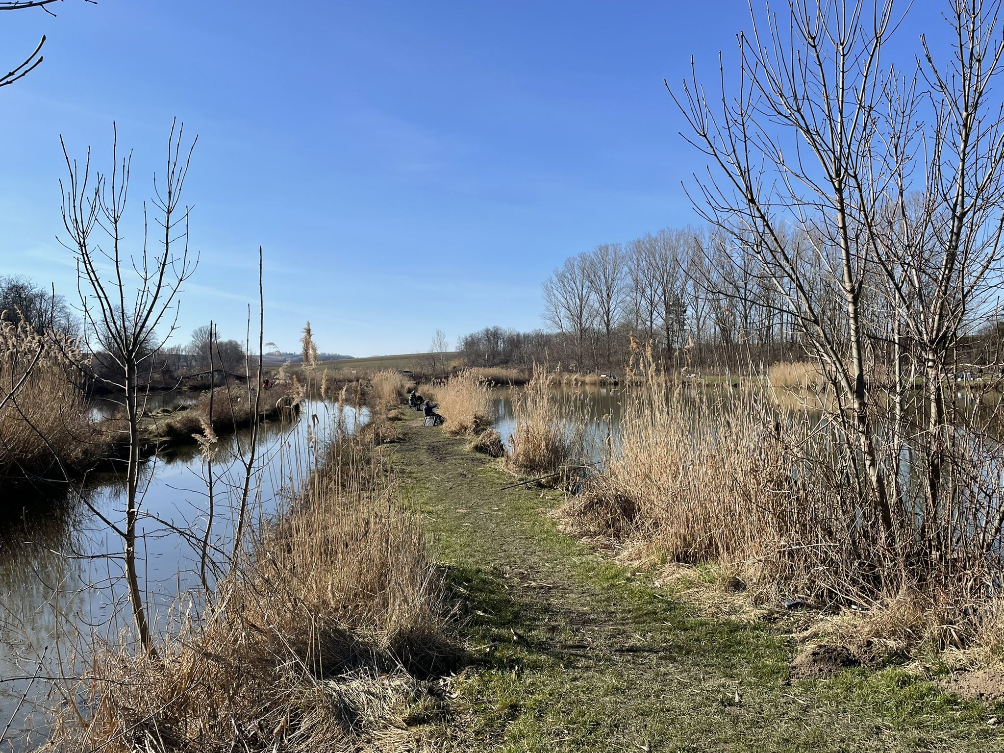Angler am Fischteich in Nexing
