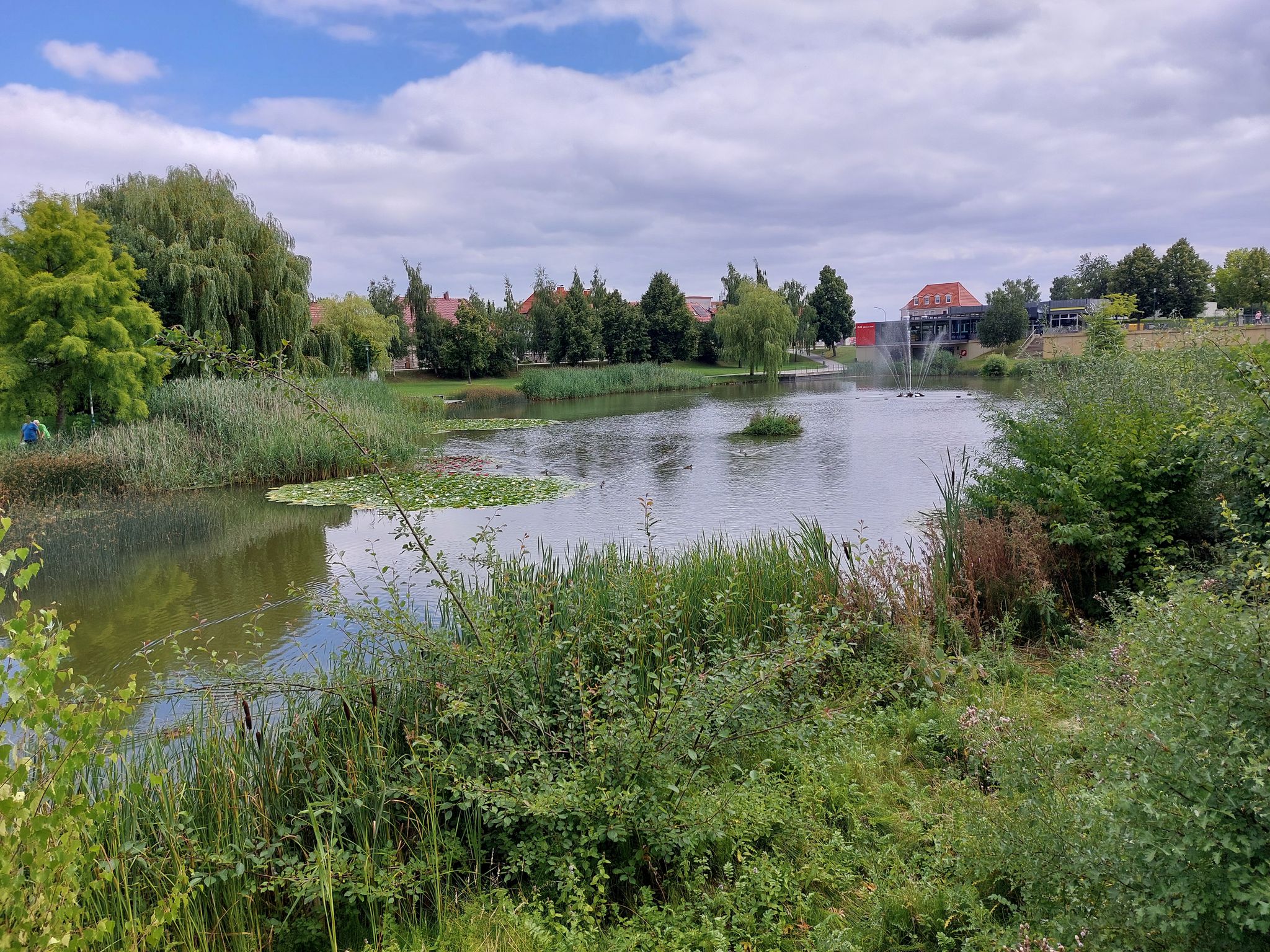 Märtens Teich Leinefelde