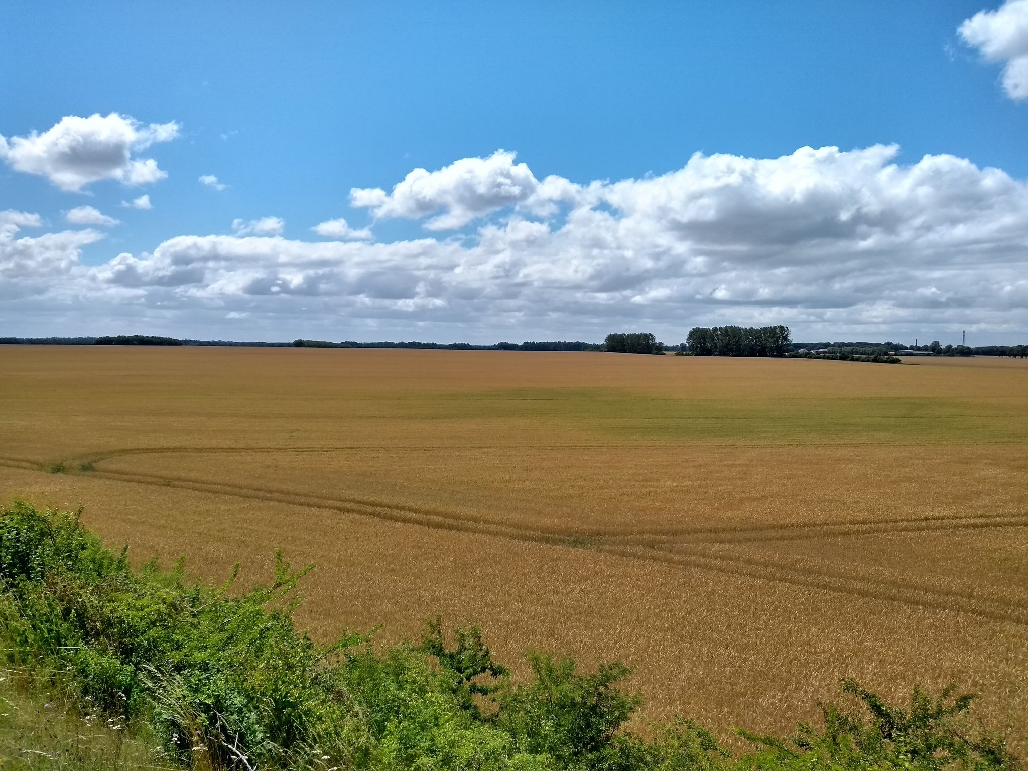 Schönes großes Feld....