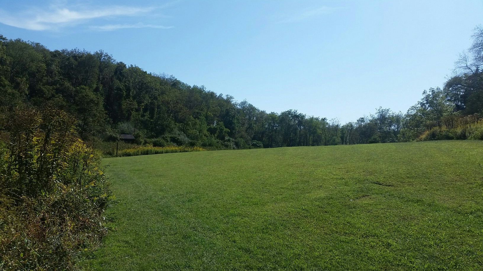 Expansive green grassy field bordered by a lush forest under a clear sky. - Scouts Trail
