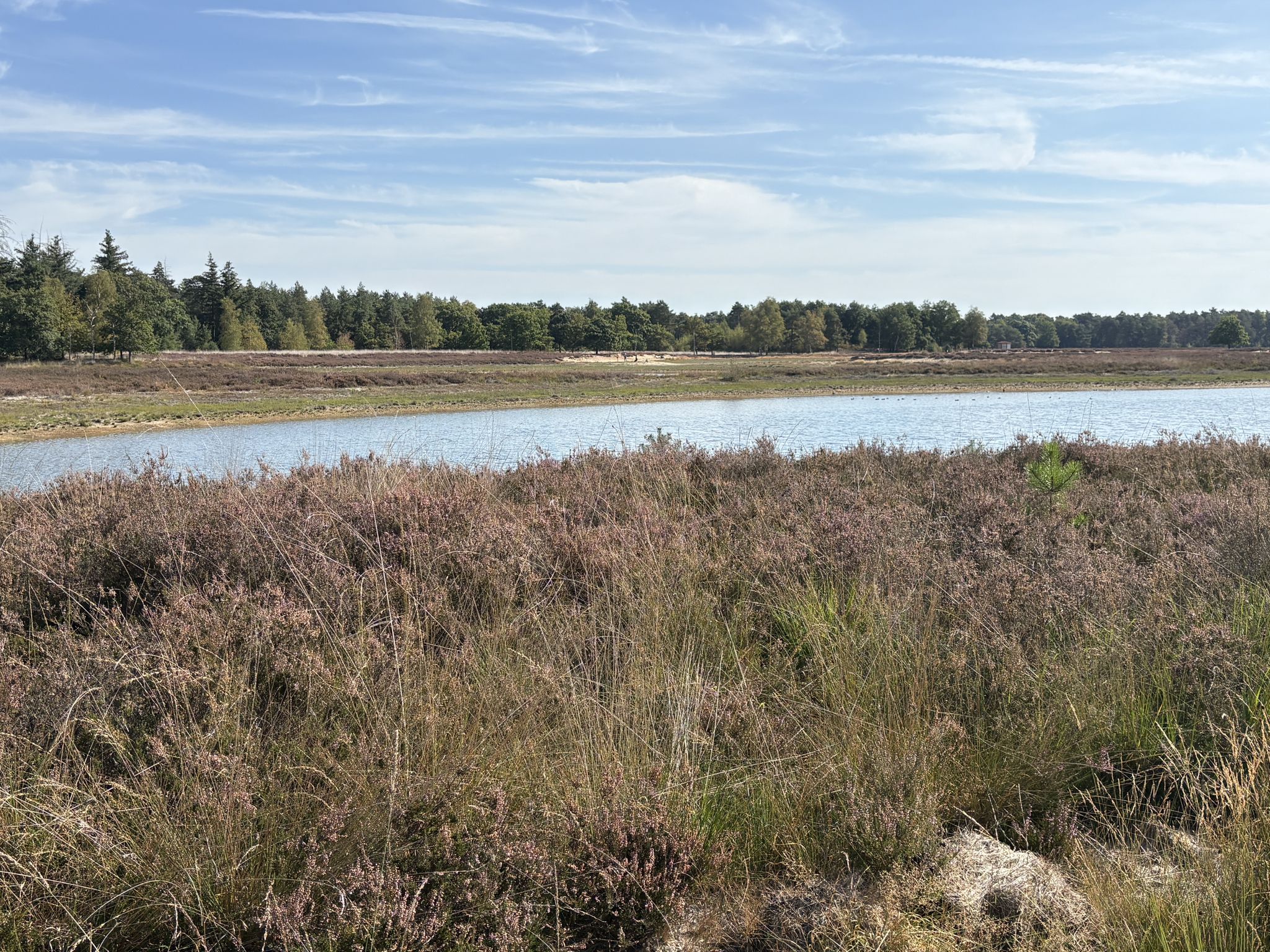 Ven am Keelvenweg