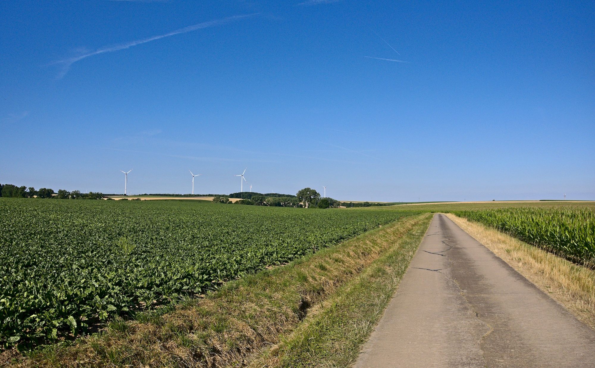 Von Gollhofen mache ich mich auf meine Tour