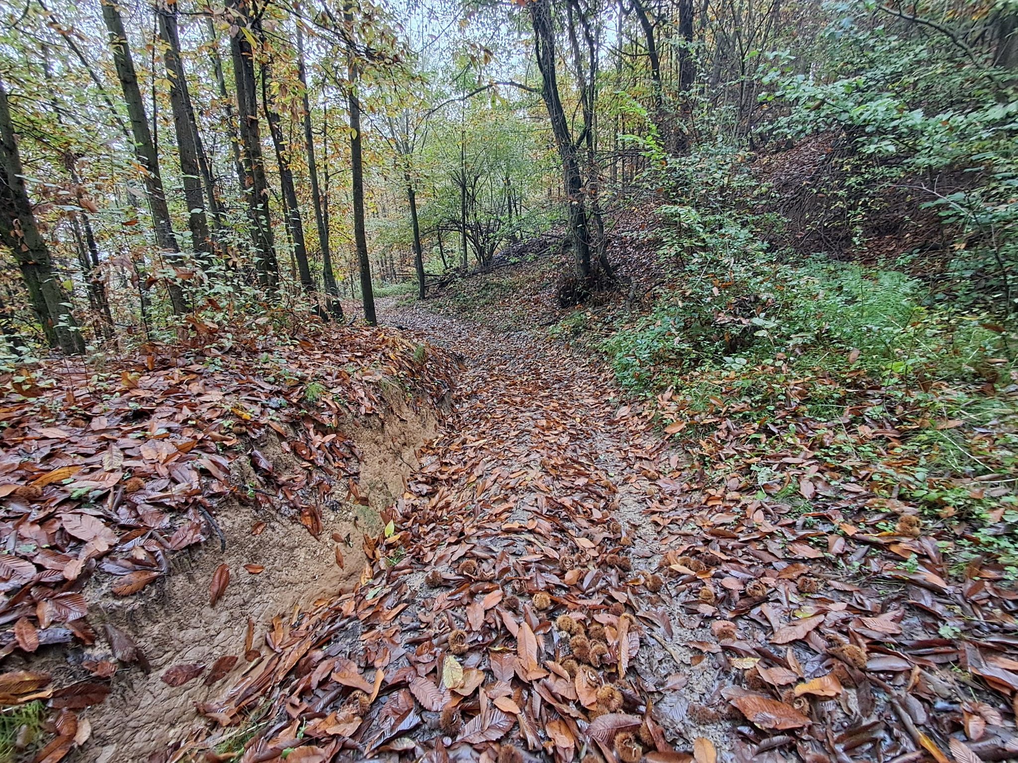 Sterrata Cascina Rughé-Santuario Ca' del Bello