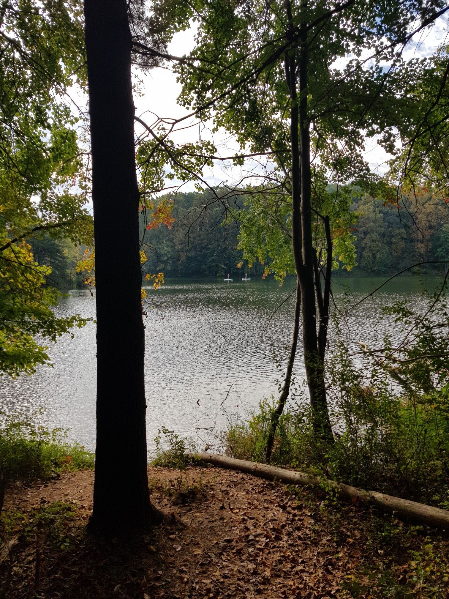 Lake view through autumn trees, with two small white boats in distance. - Clopper Lake Trail – Clopper Lake Shore Trail loop from Strider Wildlife Management Area