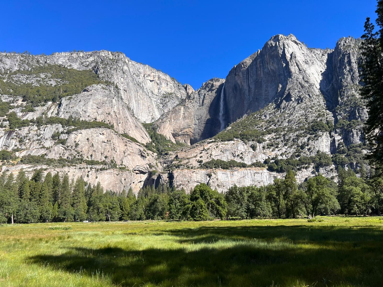 Majestic granite mountains rise above a green meadow and forest under a clear sky. - Oakhurst, California to Mariposa Grove