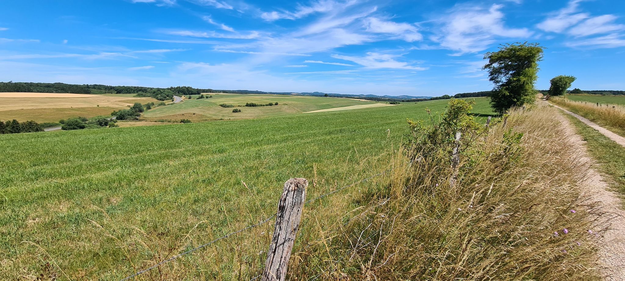 Feld 5