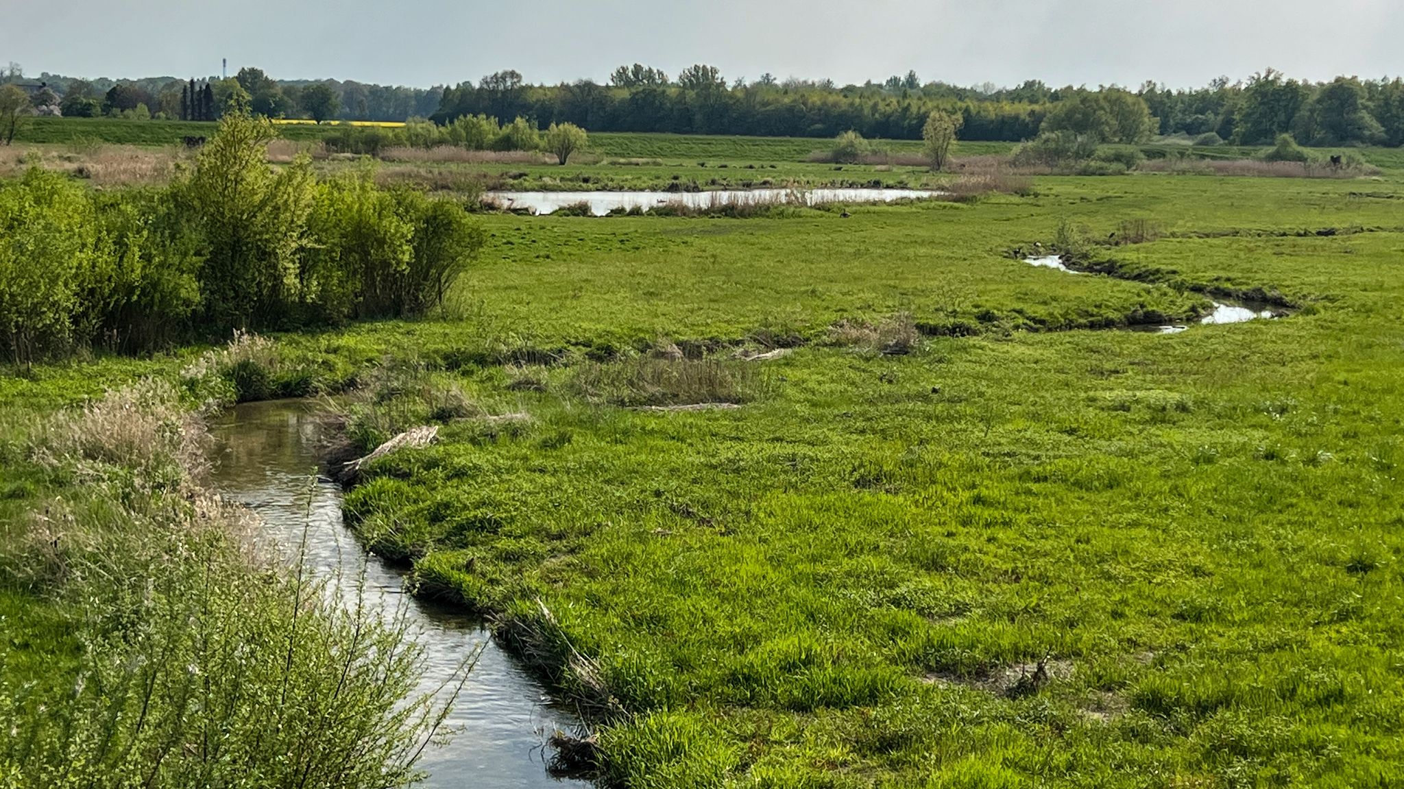 Seseke beim Hochwasserrückhaltebecken in Bönen