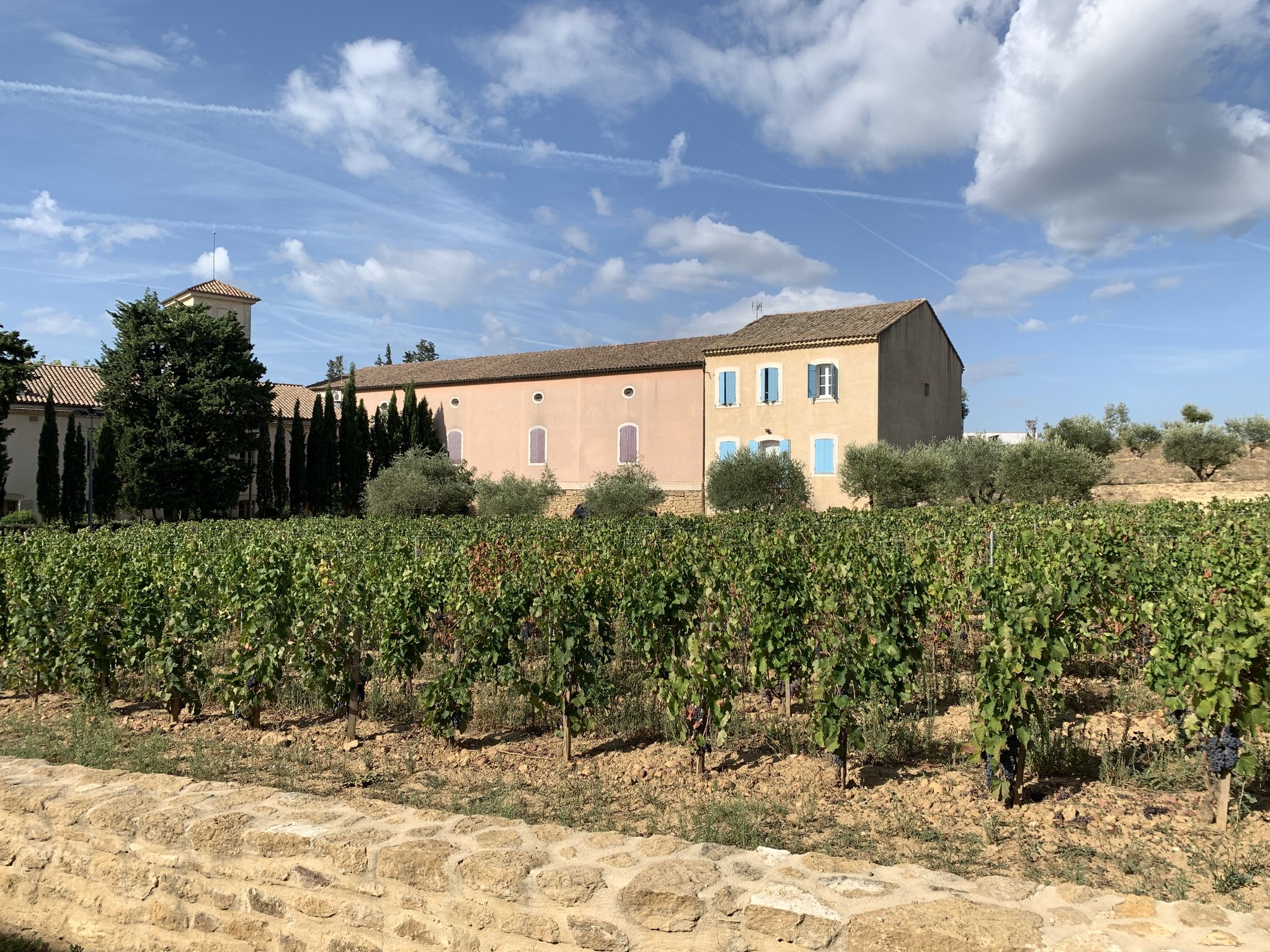 Chateau Gigognan