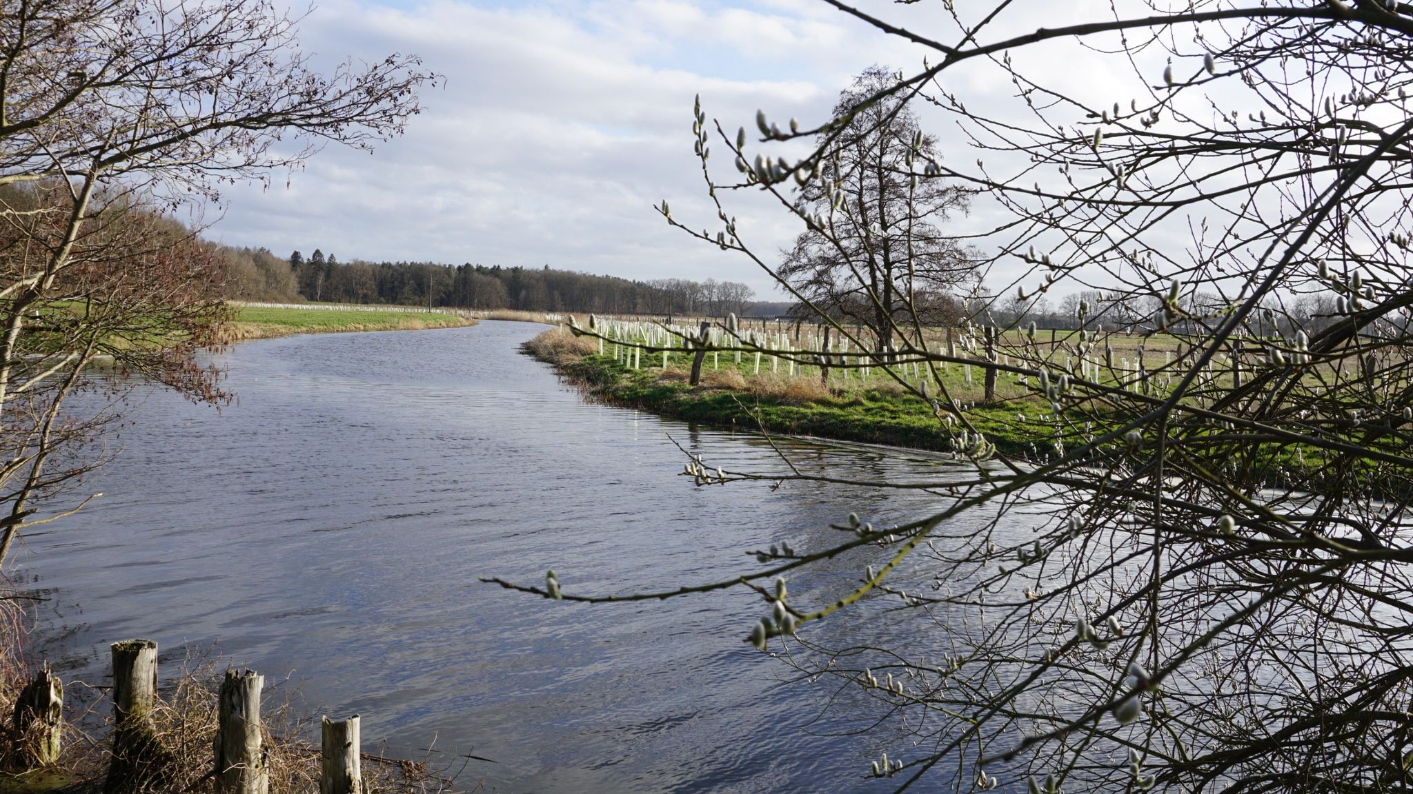 Zusammenfluss Bützow-Güstrow-Kanal mit Nebel