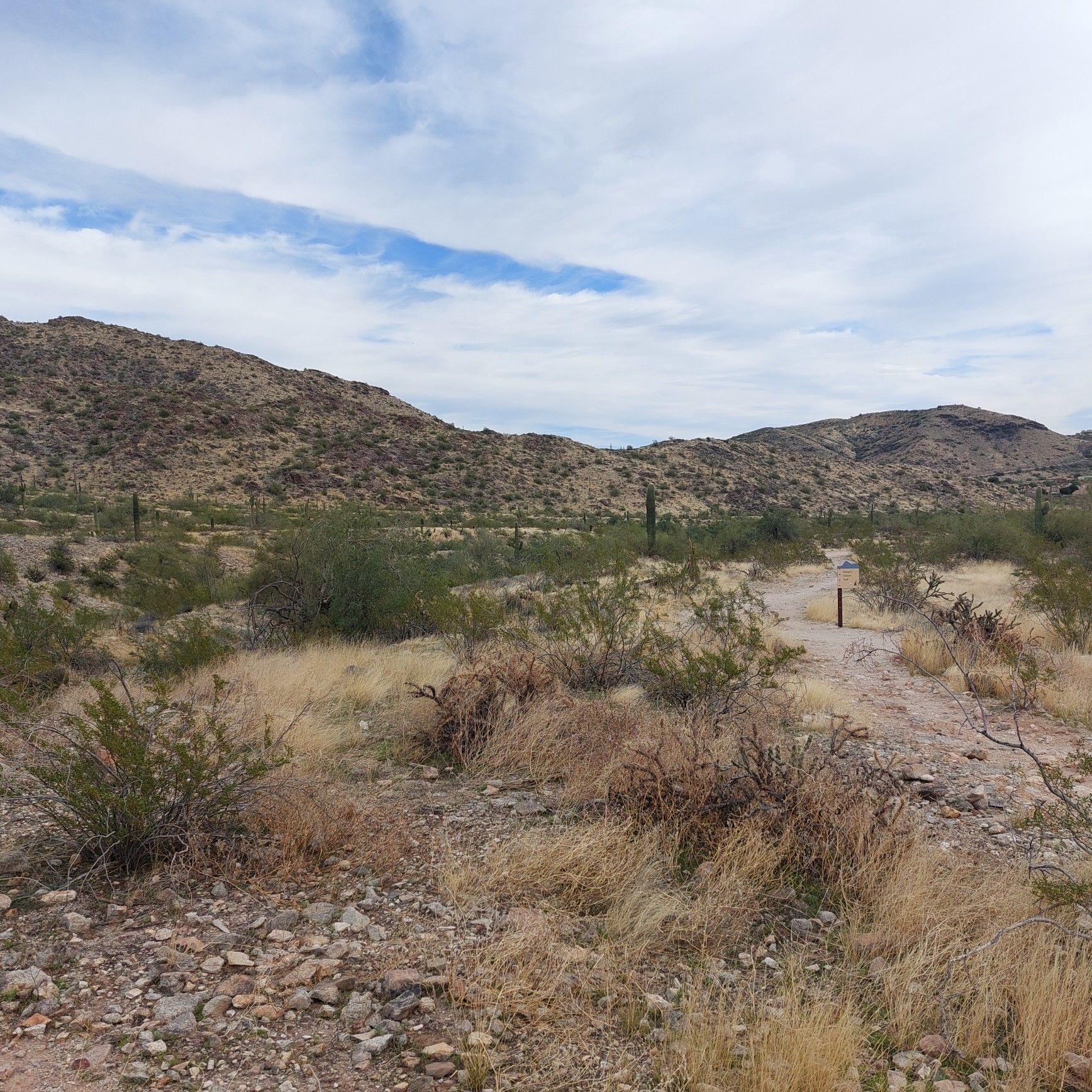 Desert landscape with sparse vegetation, mountains, and a dirt path. - Desert Classic & Ridgeline – South Mountain