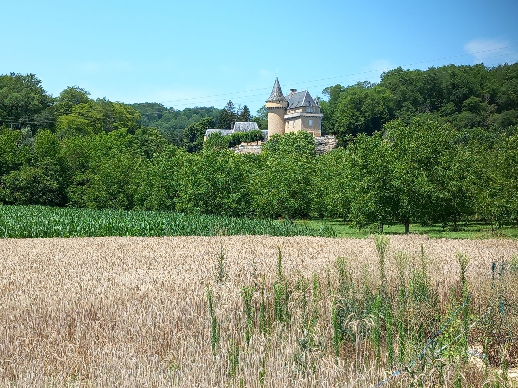 Schloss Merle