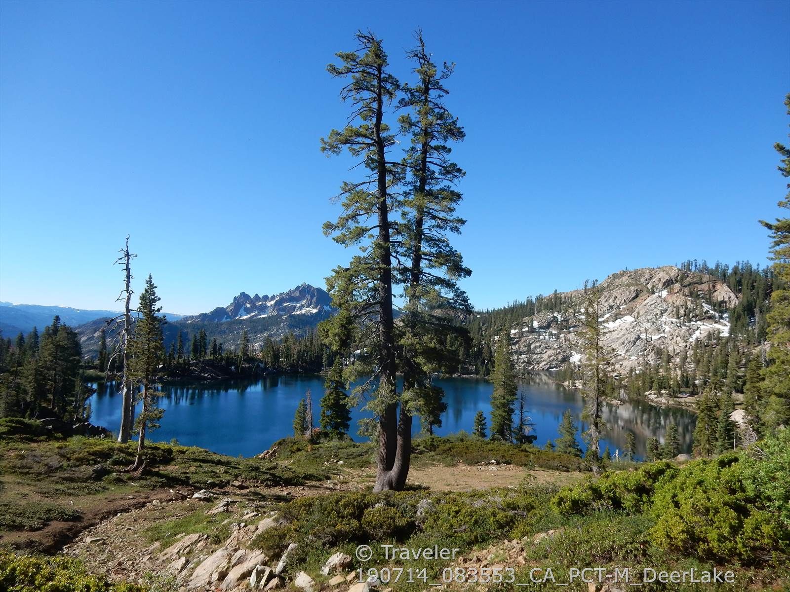 A clear blue lake reflects the sky, surrounded by pine trees and rocky mountains. - Upper Salmon, Deer, & Packer Lakes