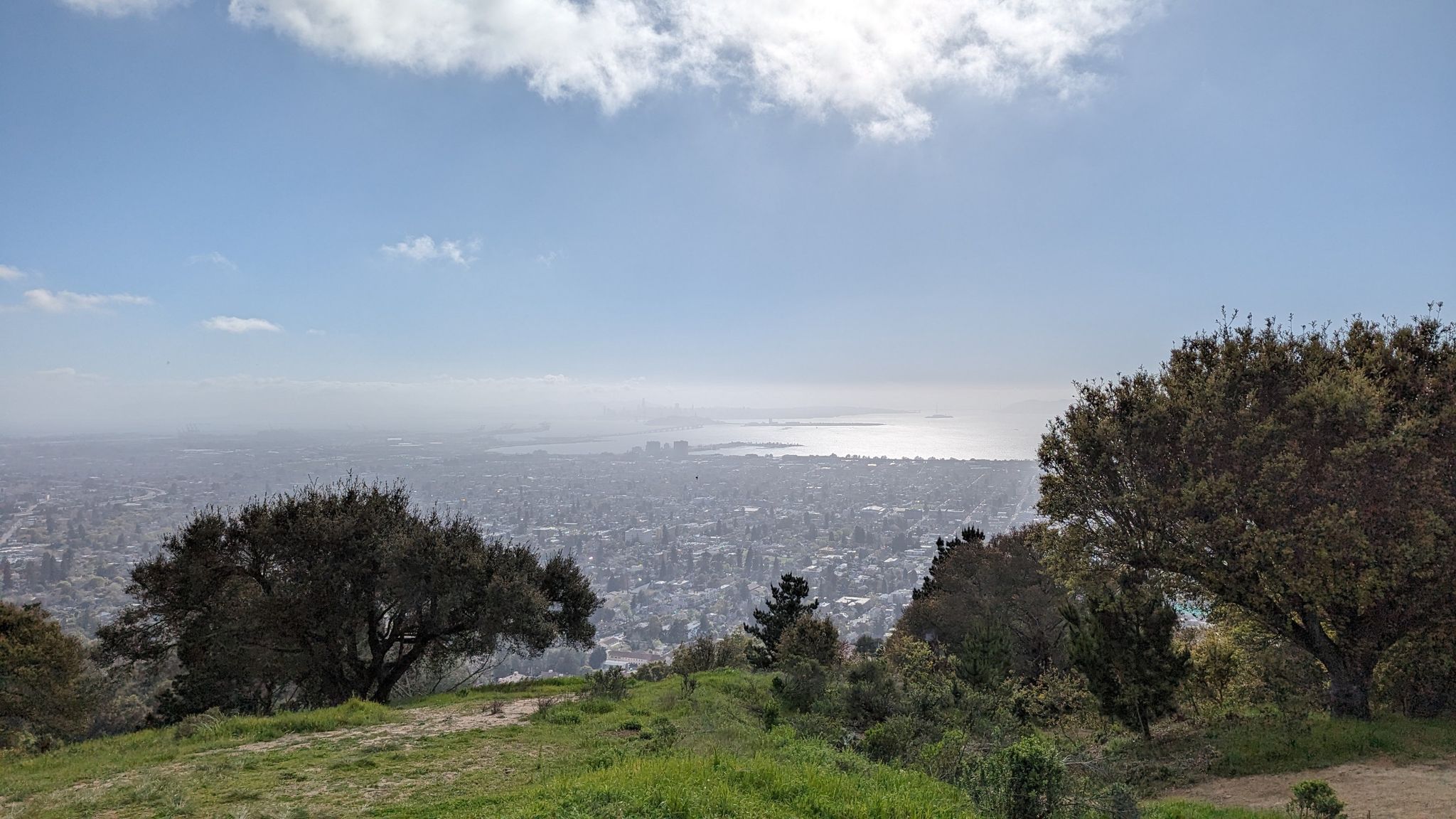 Hazy view of a city and bay from a grassy hill with large trees. - Berkeley University & Panoramic Hill loop