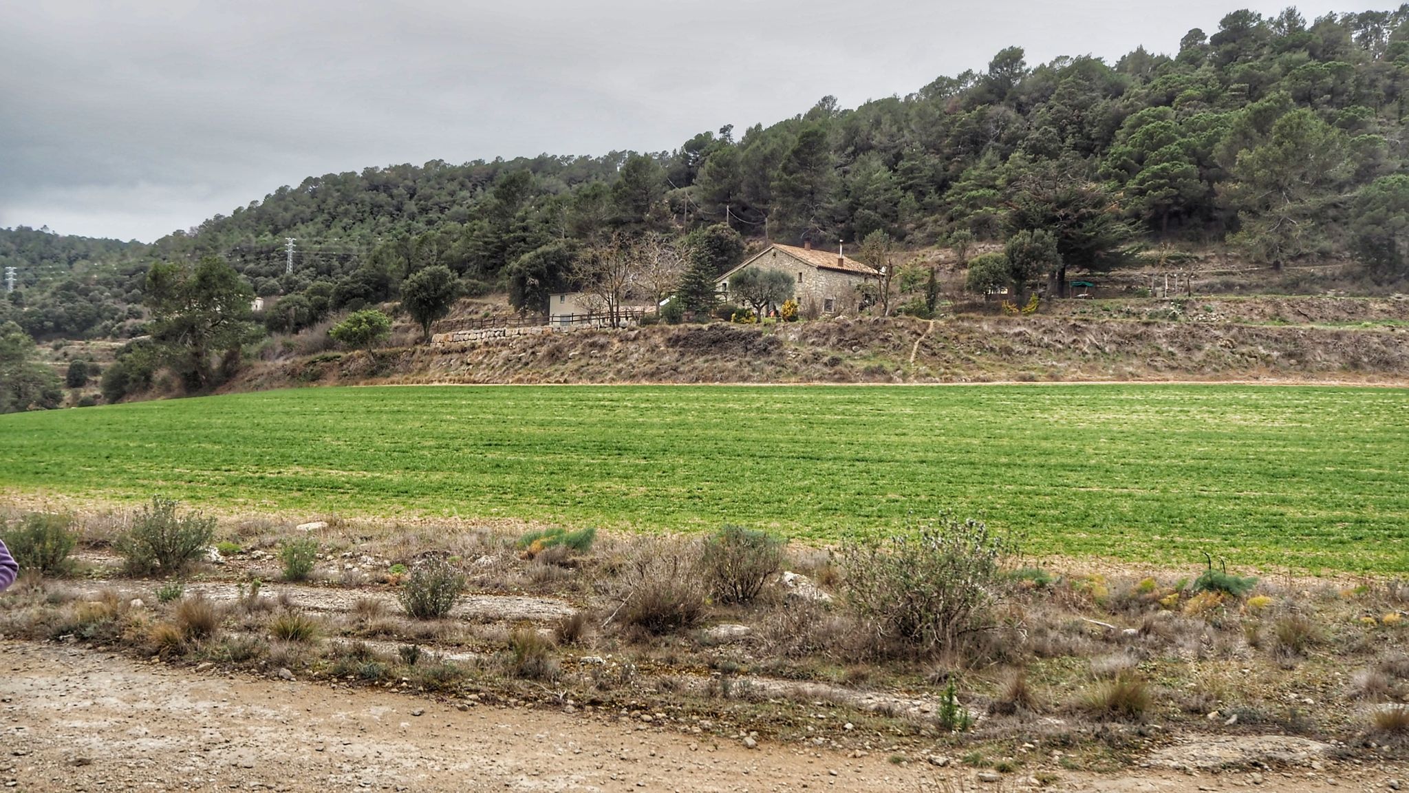 el Rajadell