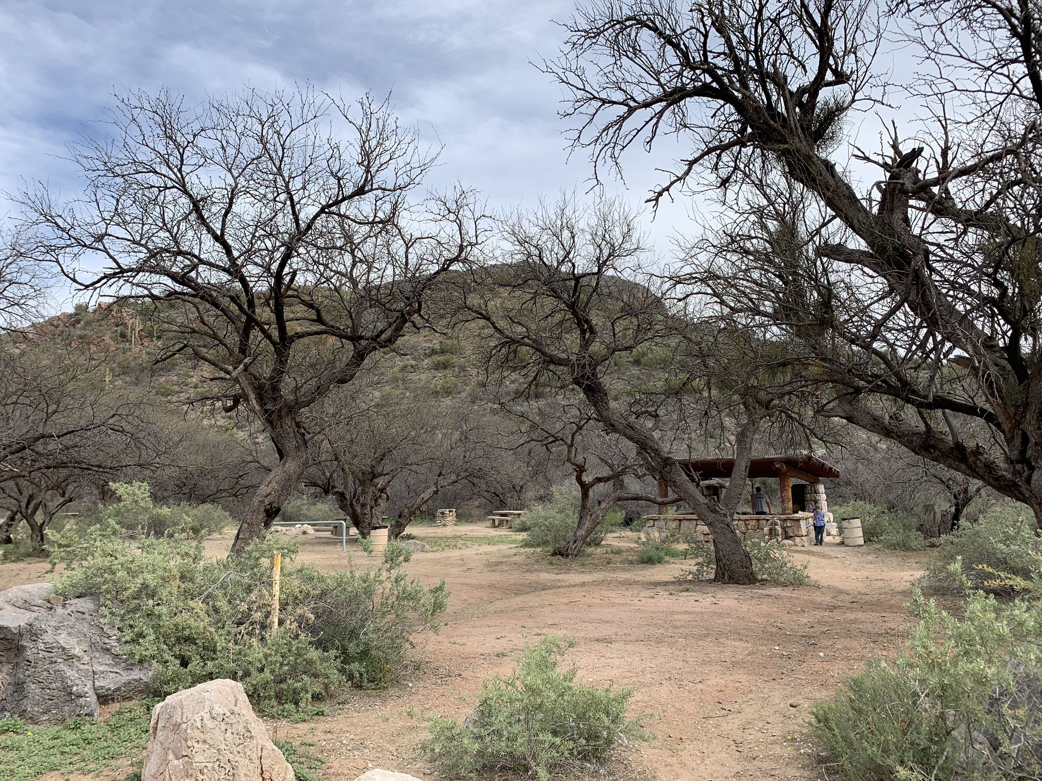 Small building nestled among bare trees in a desert landscape under overcast sky. - Running loop from AZT Trailhead