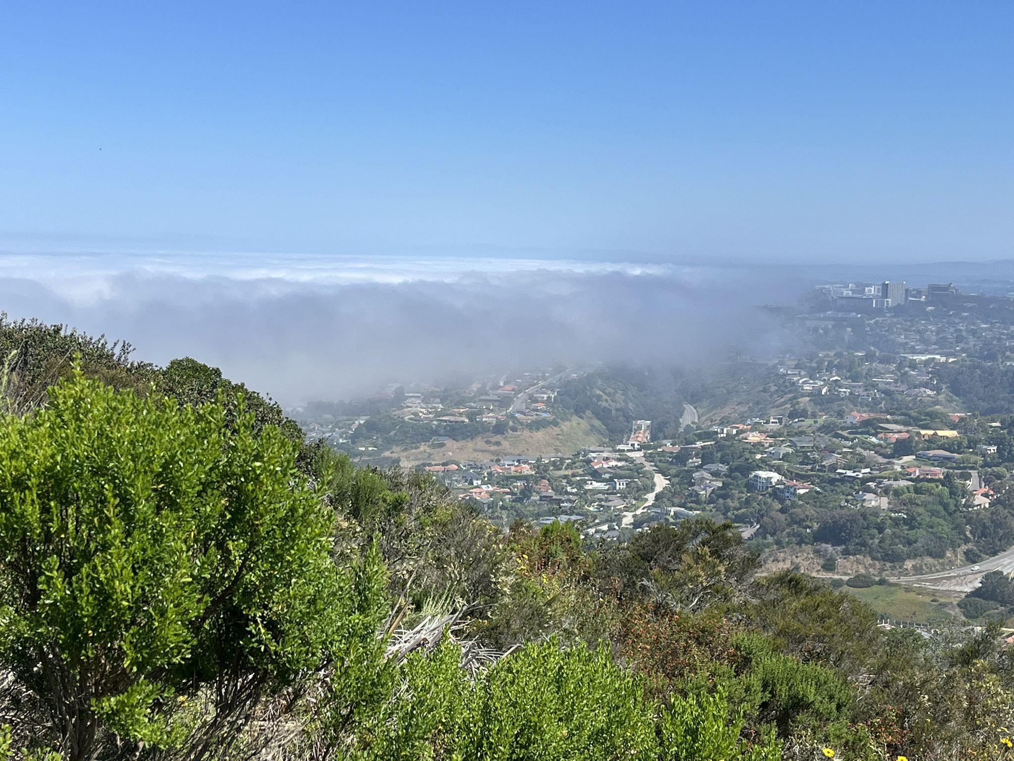 Green hills overlooking a valley partially covered in fog under a bright sky. - Coastal Rail Trail – Mount Soledad loop from Del Mar Heights