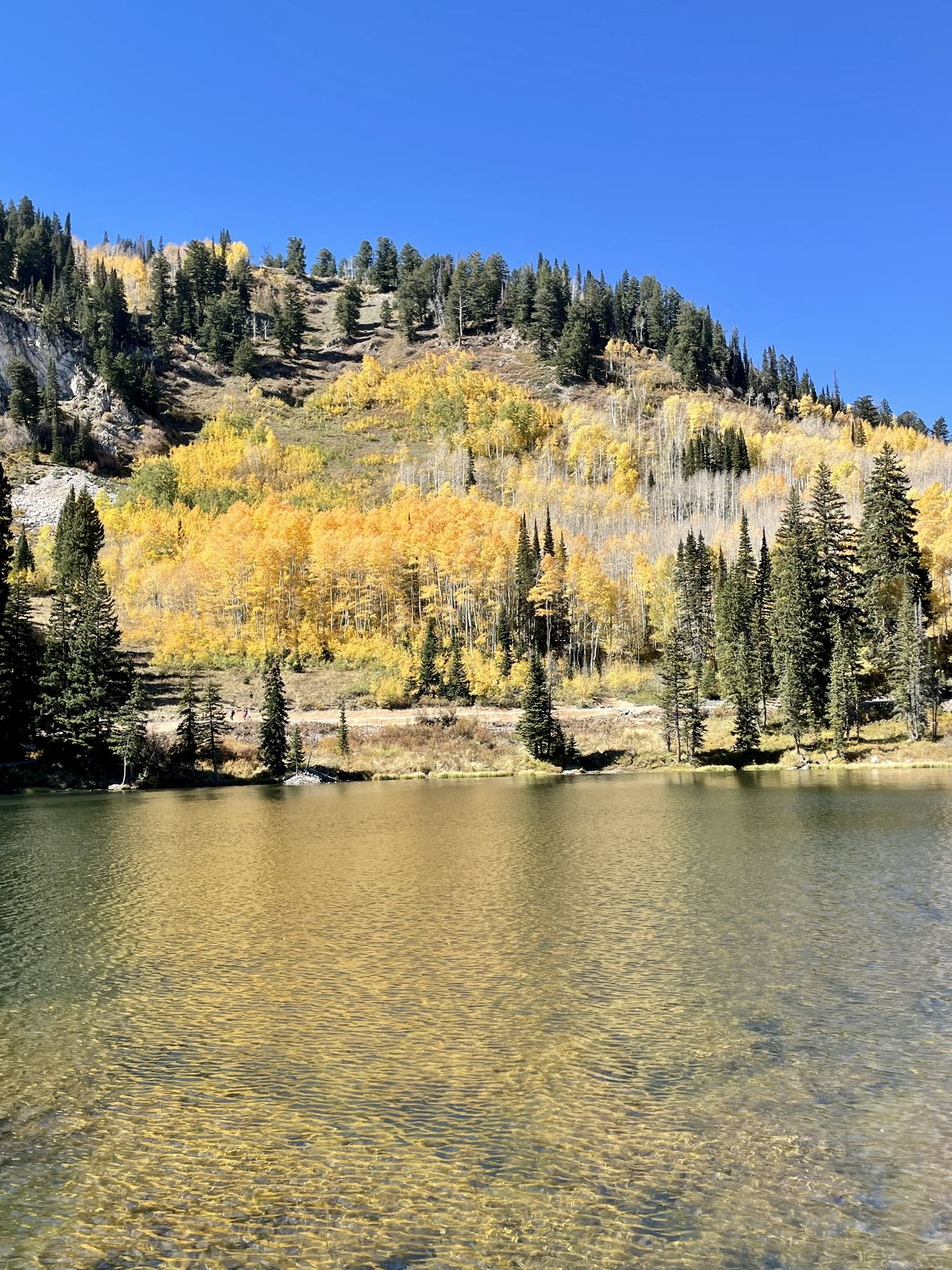 Clear lake reflects sunny mountain with vibrant yellow and green autumn trees. - Silver Lake Nature Trail