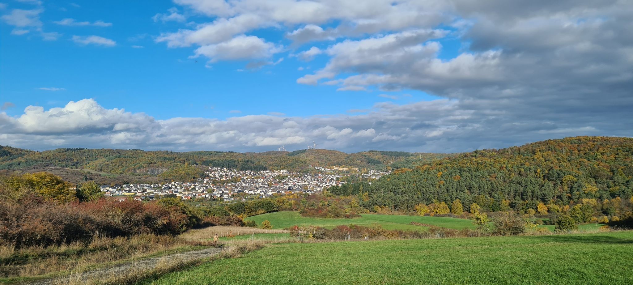 Blick auf Seelbach