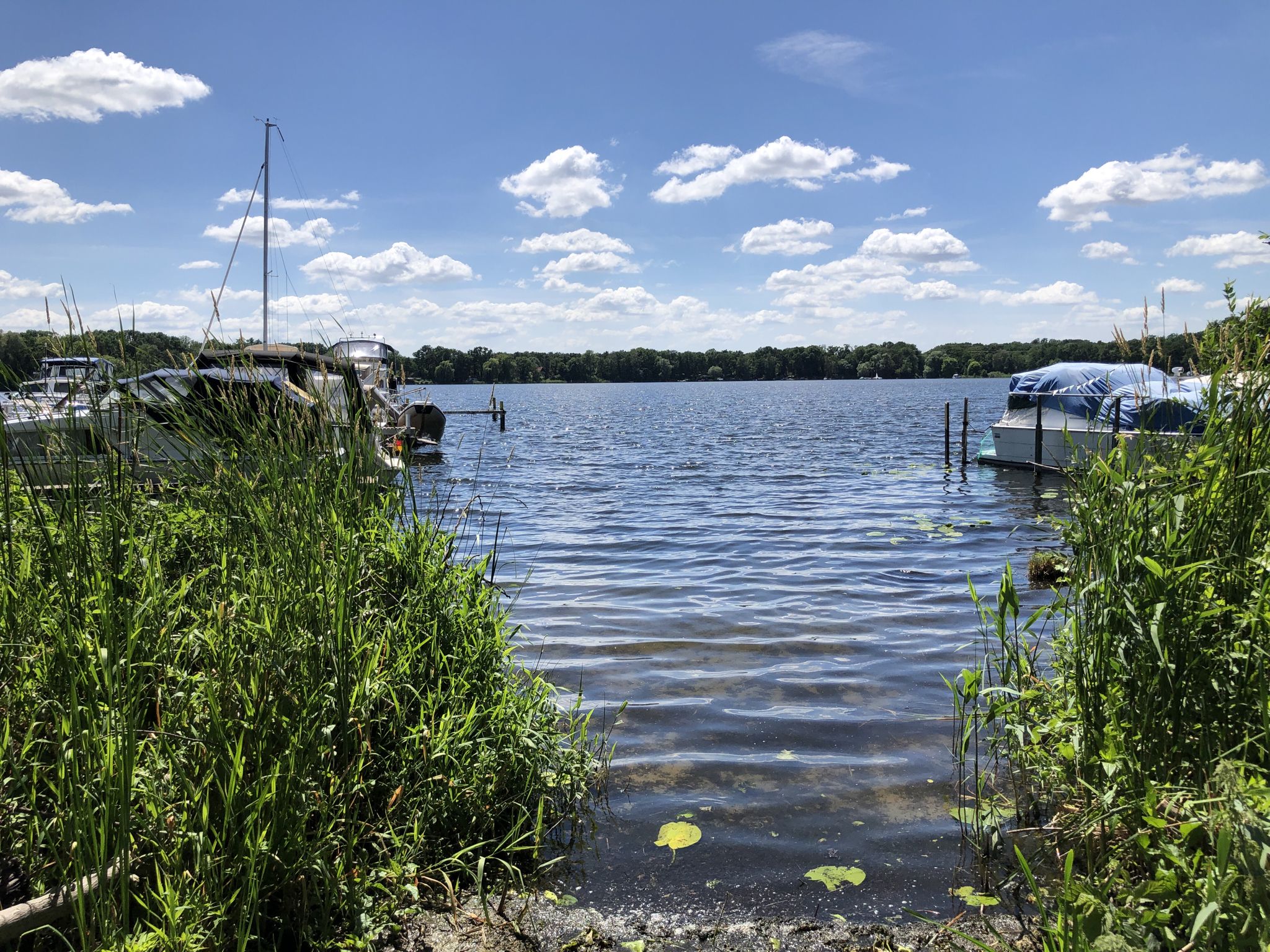 Blick auf den Petzinsee