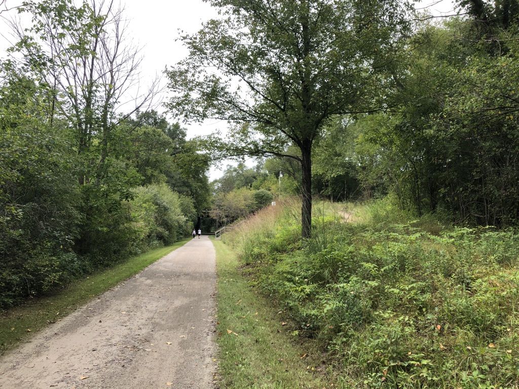 A gravel path winds through a green wooded area with distant walkers. - Rudd's Dam – Paint Creek Trail loop from Mill Creek Crossing