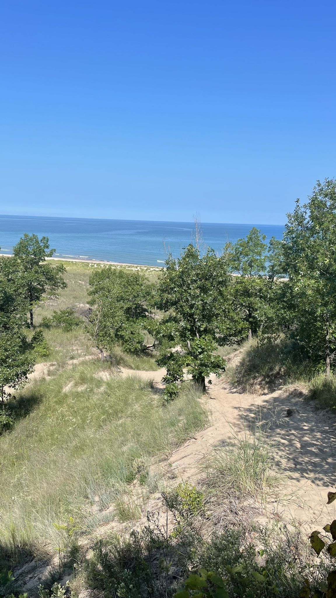 Sunny view of sandy dunes, green trees, and a vast blue ocean. - Dunes Long Trail Alternates