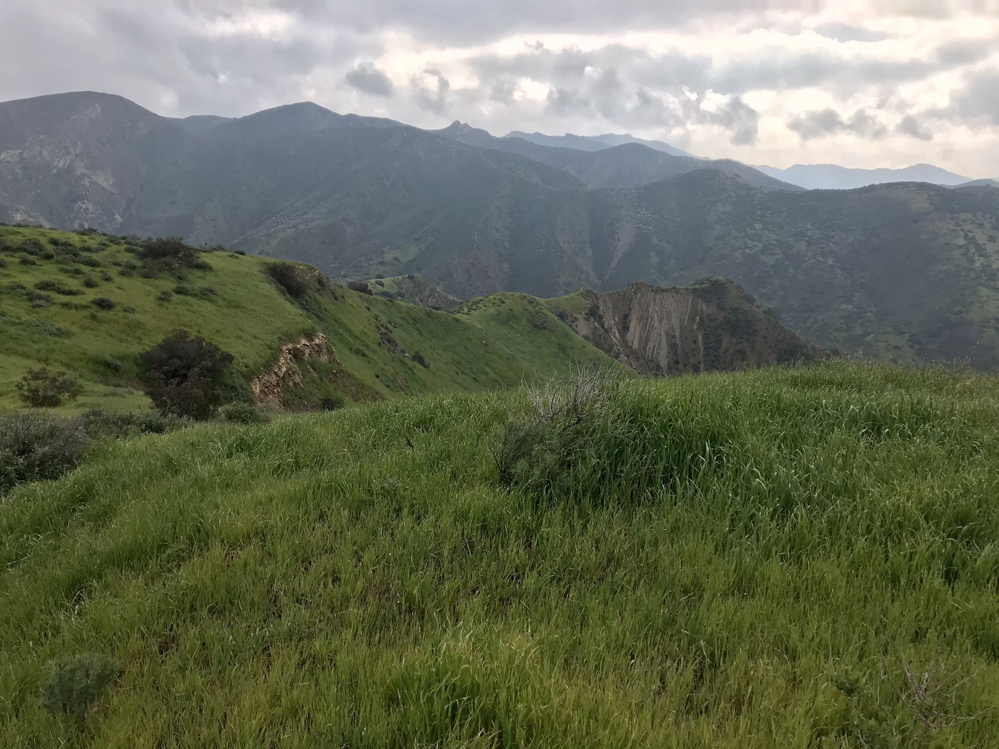Lush green hills and distant mountains under an overcast sky. - Chivo Canyon and Marr Ranch Loop