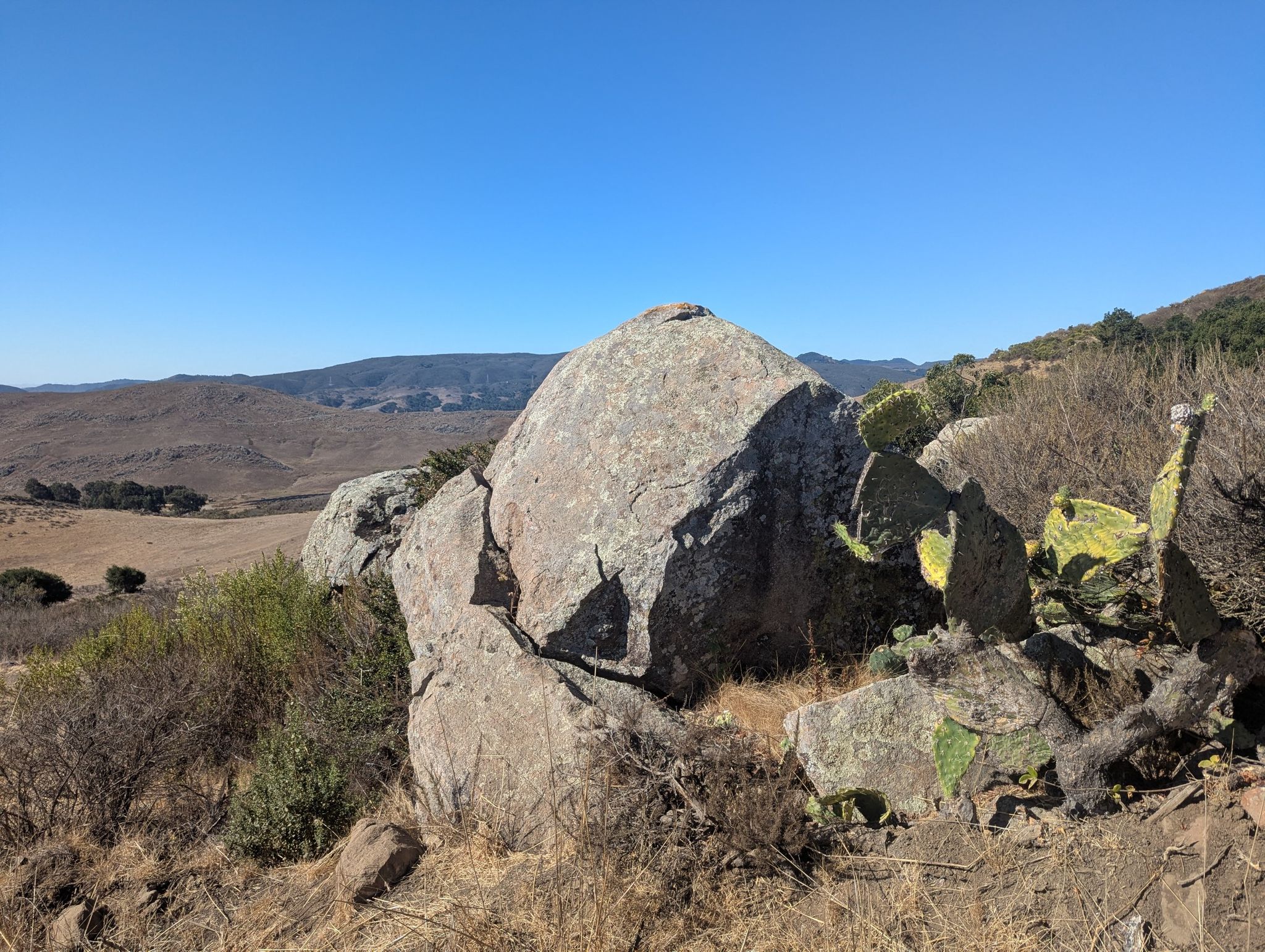 Large boulders and prickly pear cacti on a sunny, arid hillside. - Views of Bishop Peak – Cerro San Luis Summit loop from San Luis Obispo