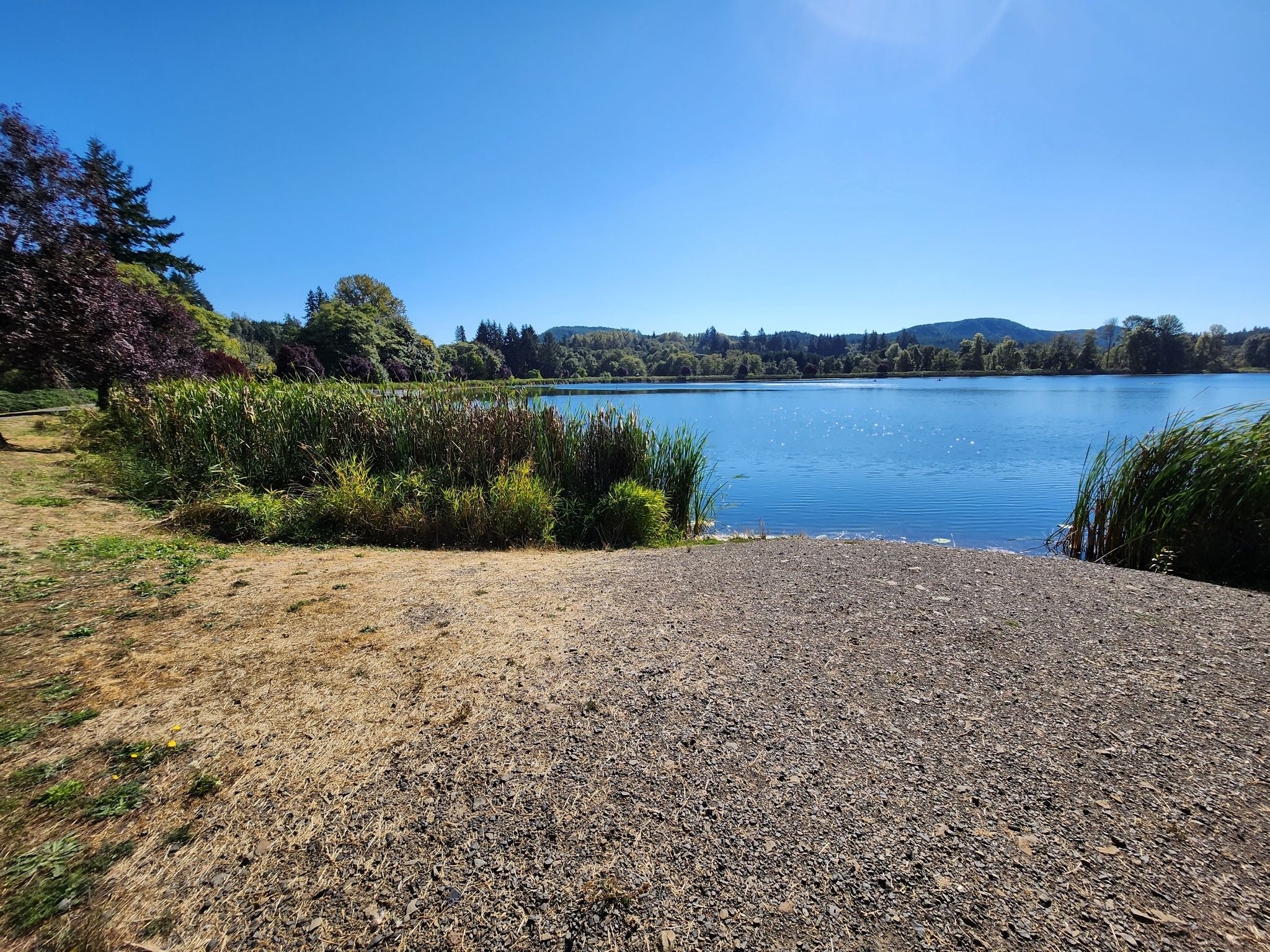Sunny view of a blue lake from a gravel shore with reeds. - Banks-Vernonia State Trail