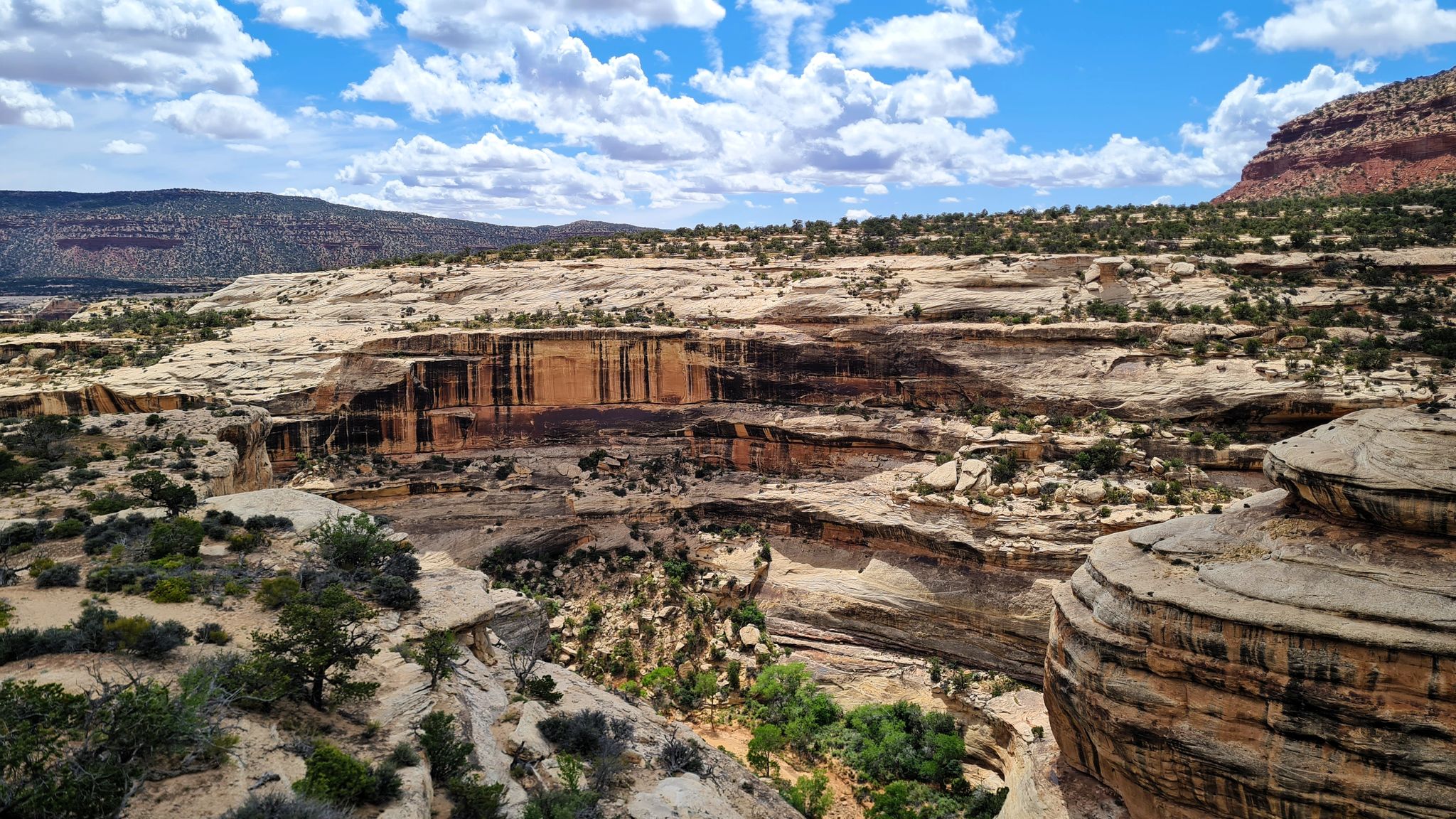 Blick in den White Canyon