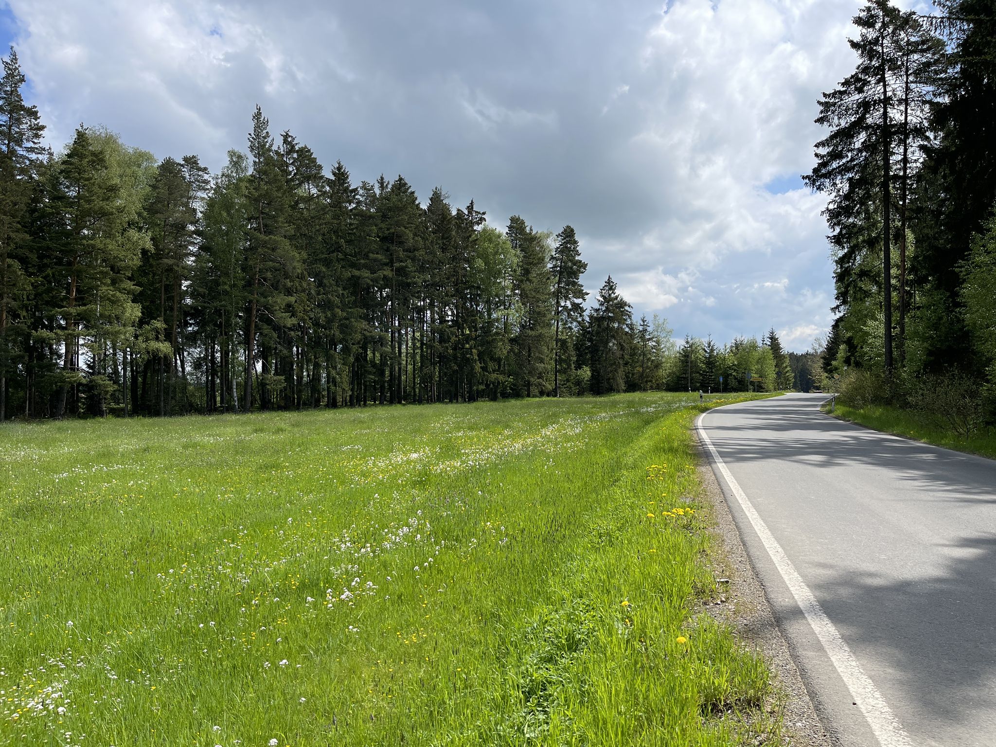 Auf der kleinen Nebenstraße geht's nach Dröswein.