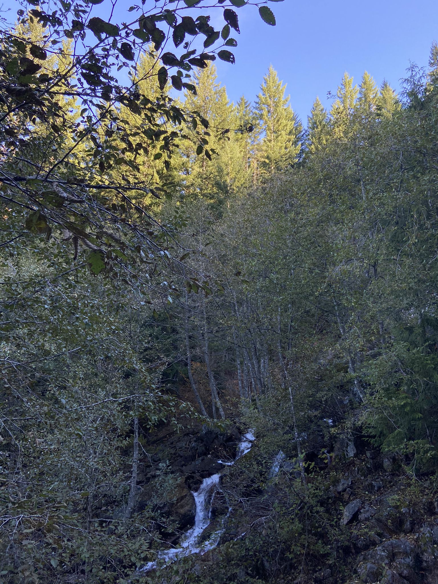 Small waterfall cascading down a rocky, forested slope under dappled sunlight. - Snoqualmie Tunnel – Snoqualmie Tunnel loop from Snoqualmie Pass