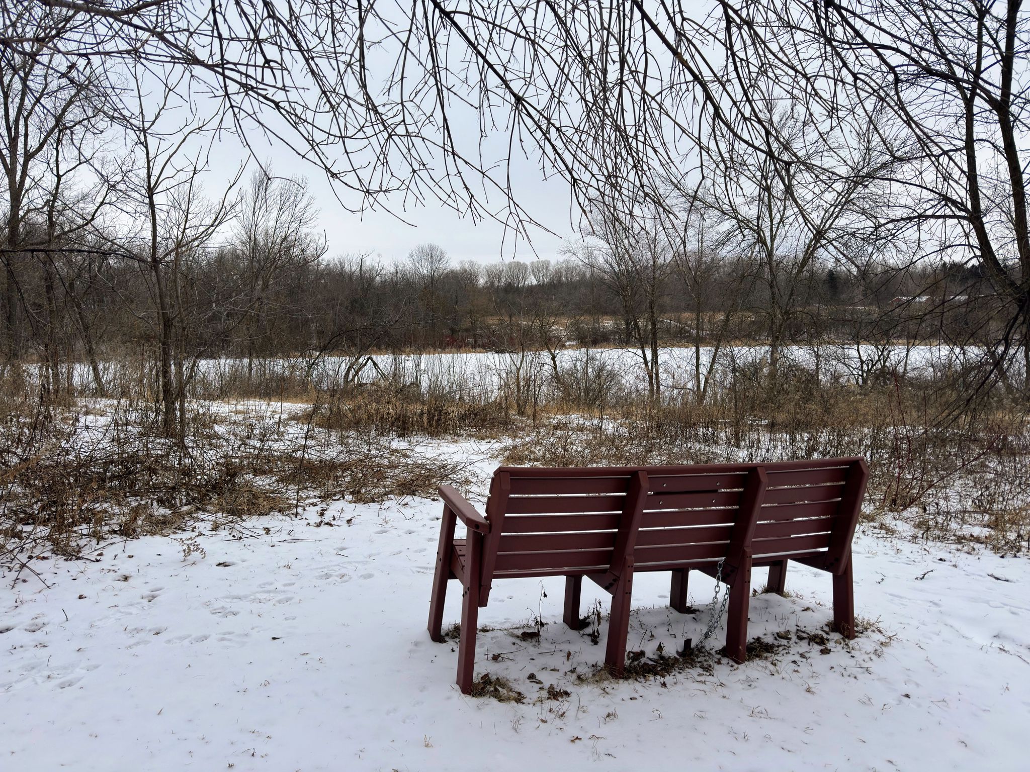 Two empty benches face a frozen lake and bare trees under a cloudy sky. - Dodge Nature Center Trails