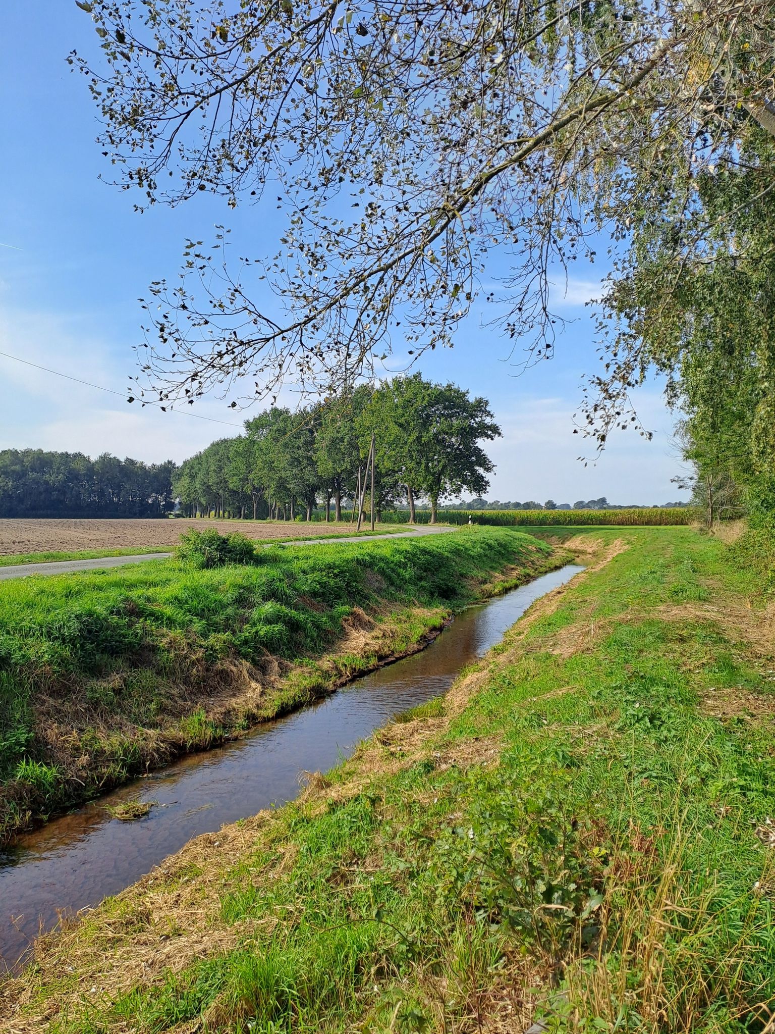 Der Bach Ossenbecke 