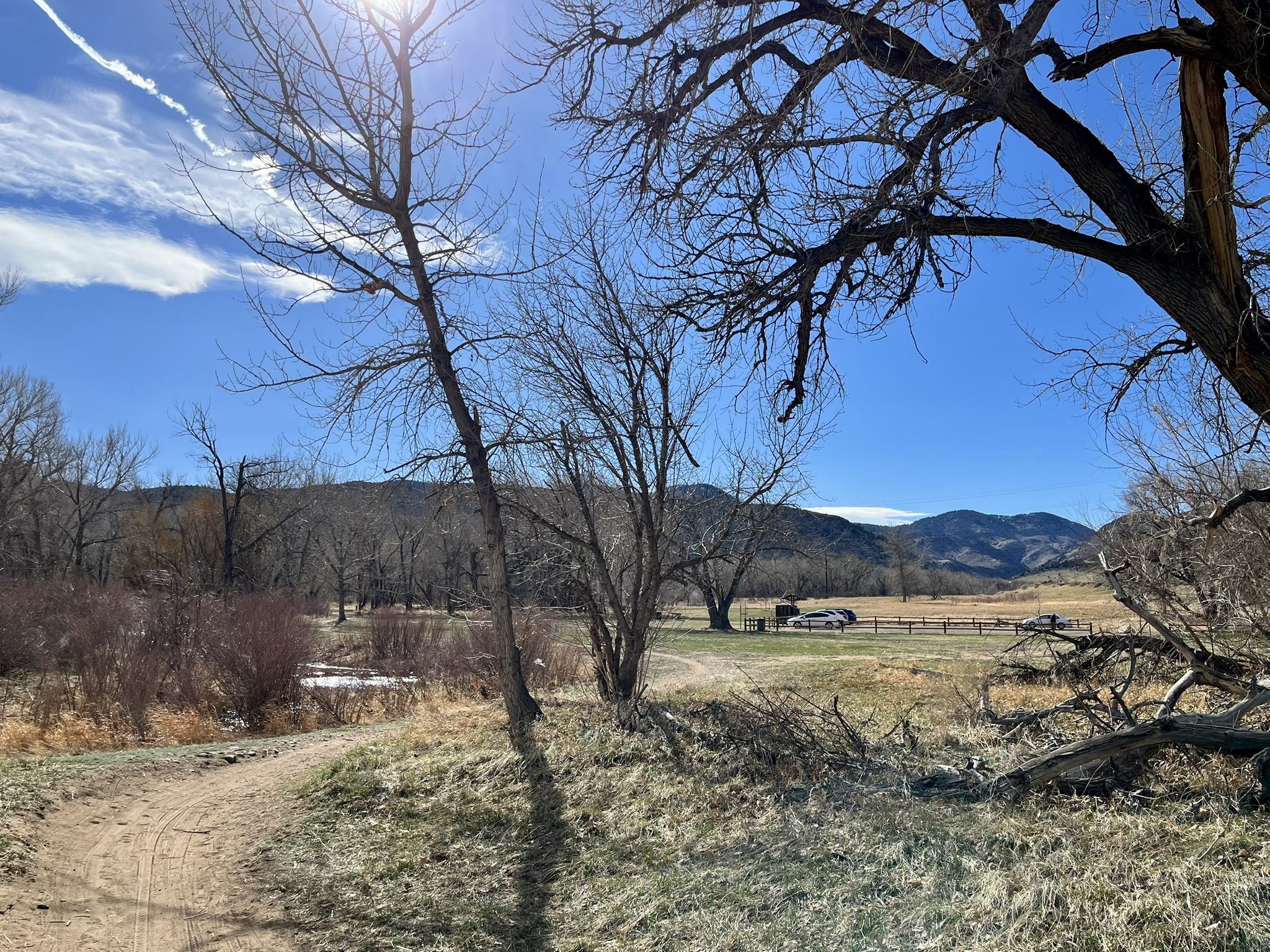 Dirt path through bare trees, leading to a field with distant mountains. - Bear Creek Lake loop from Red Rocks Baptist Church