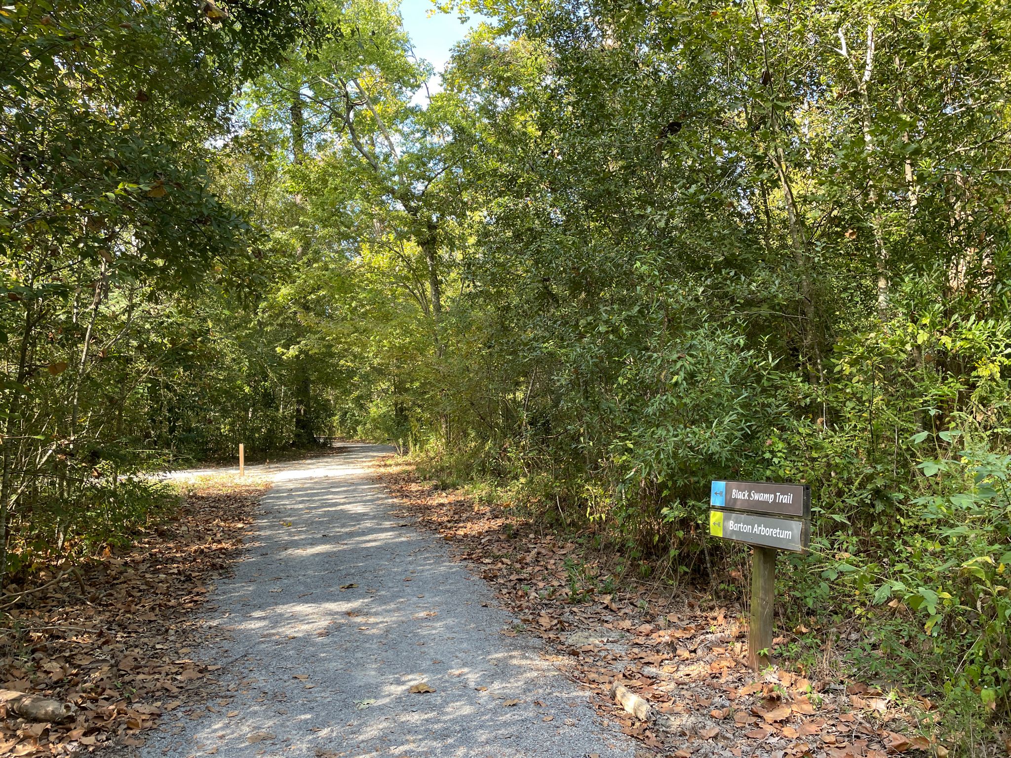 Gravel path leading into a sun-dappled forest with a trail sign. - Botanical gardens – Boardwalk through the swamp loop from Westminster