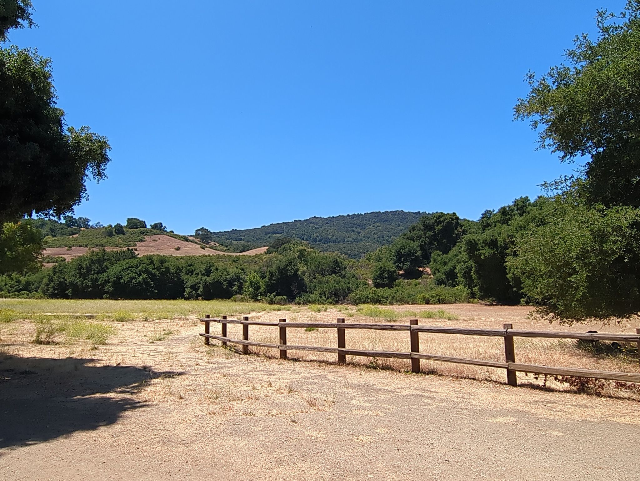 Sunny landscape with hills, trees, and a wooden fence. - Rogue Valley, Upper Rogue Valley, and High Meadow Loop Trail