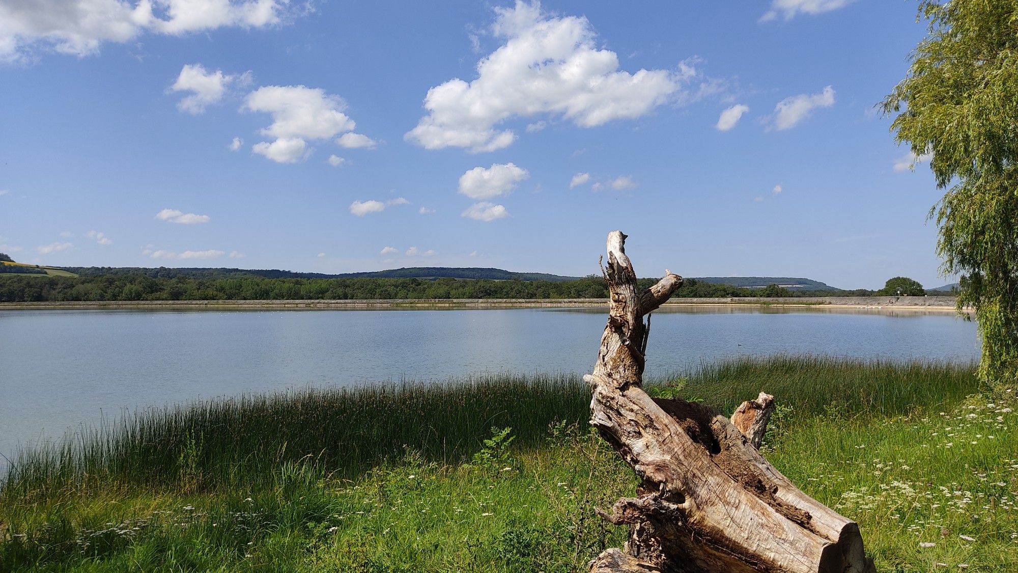 Réservoir de Cercey
