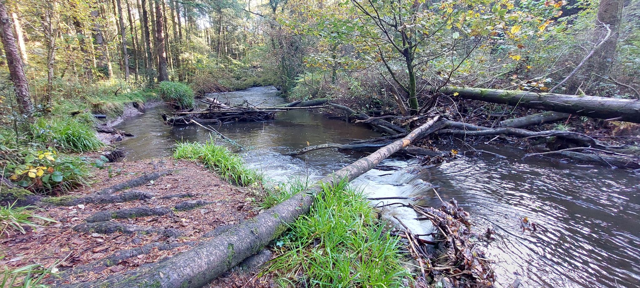 Logjam or manmade, not sure...