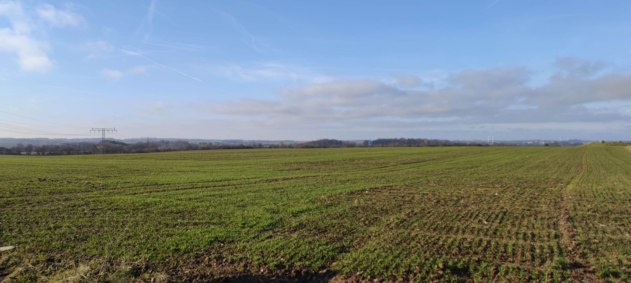 Hügelkuppe
