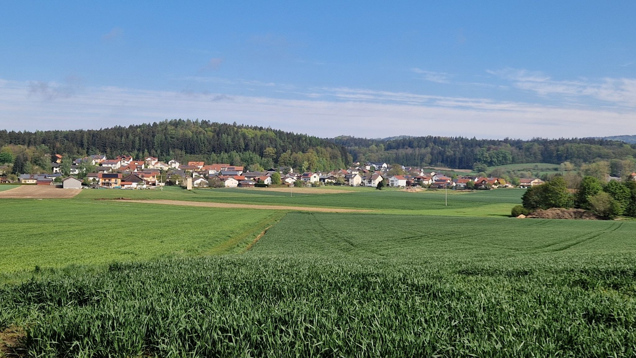 Ziel in Sicht