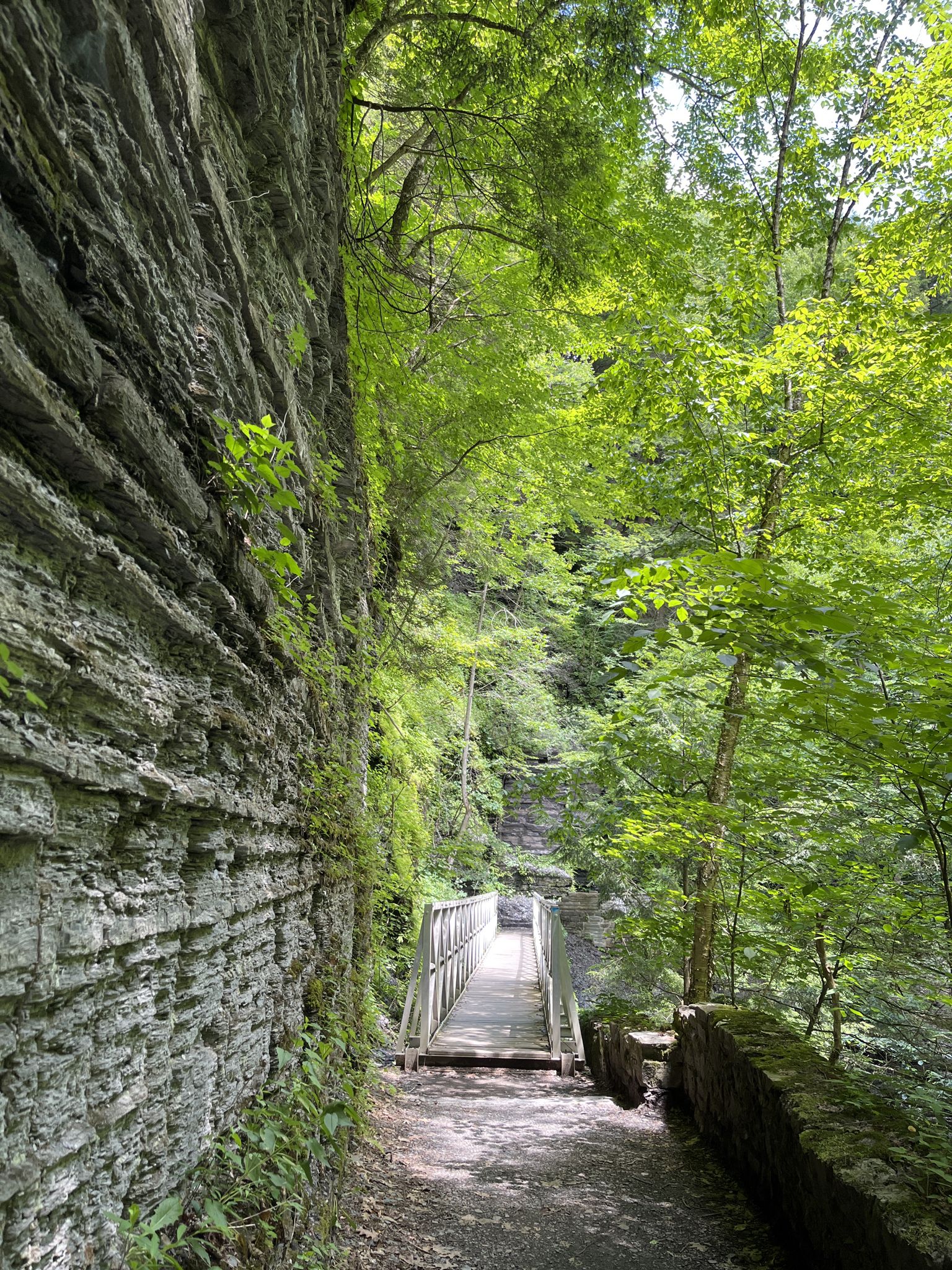 A wooden bridge extends over a gorge, beside a tall layered rock wall. - Gorge and South Rim Loop