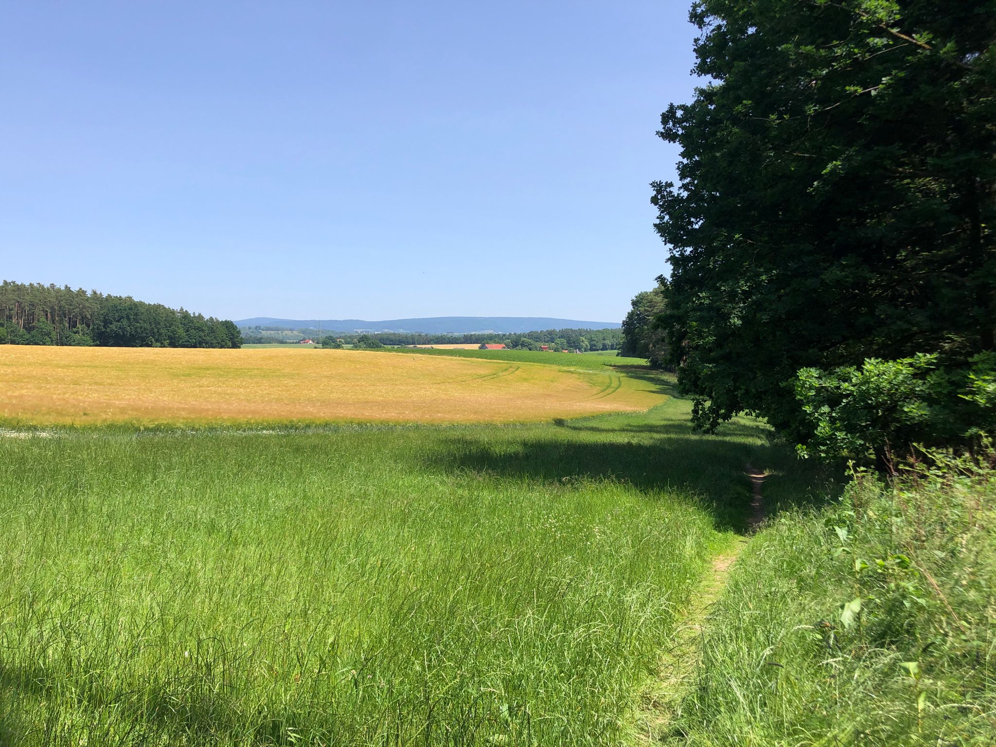 Blick zur Königsheide im Fichtelgebirge