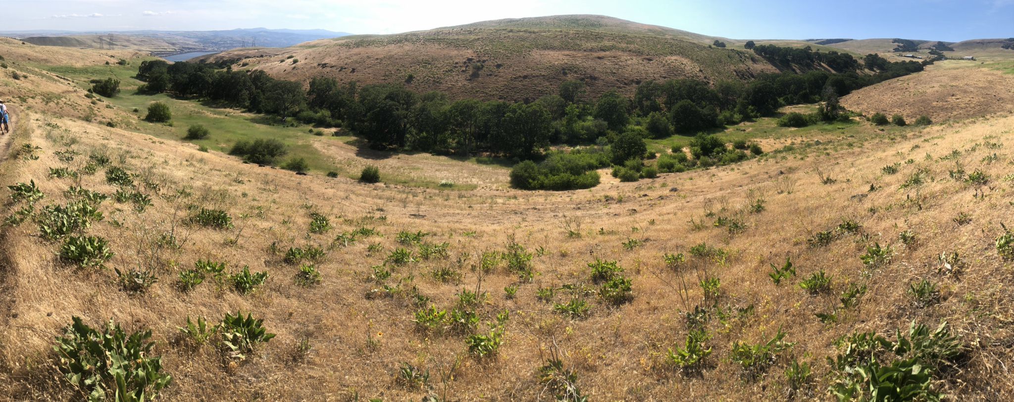 Panoramic view of dry rolling hills and a green tree-filled valley. - Vista Loop Trail