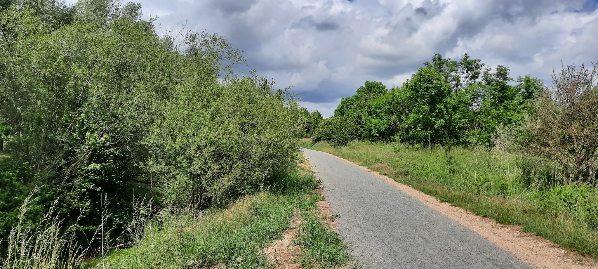 Radweg durchs Grüne - lose Asche