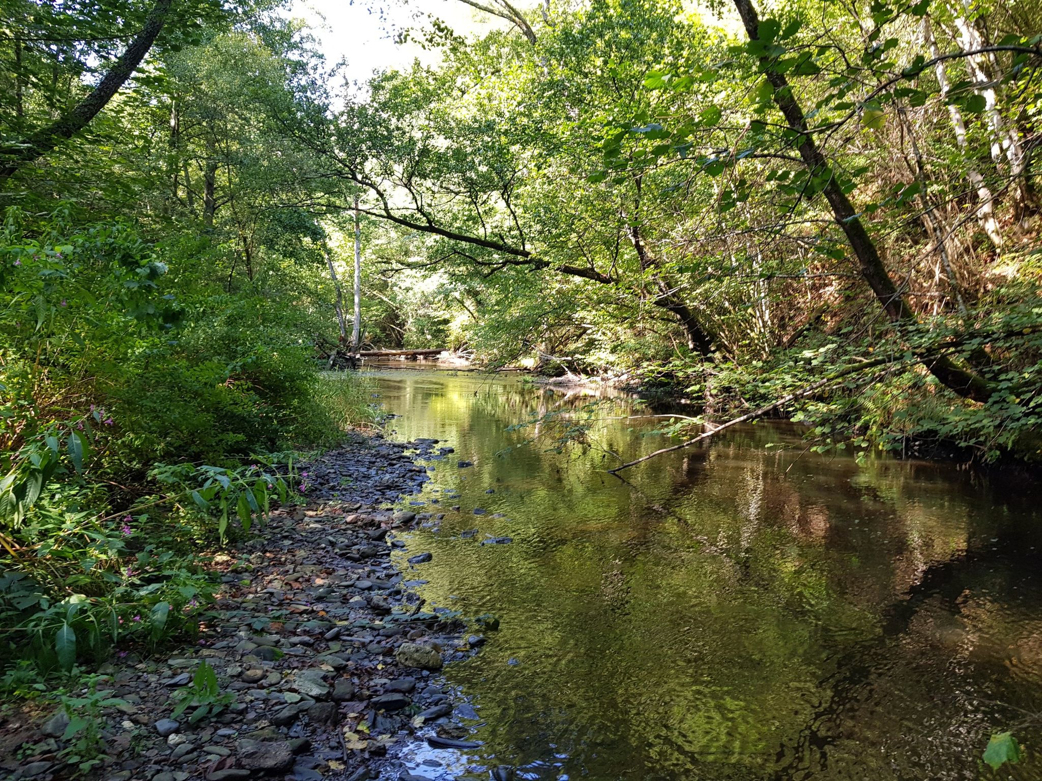 an der Ruwer