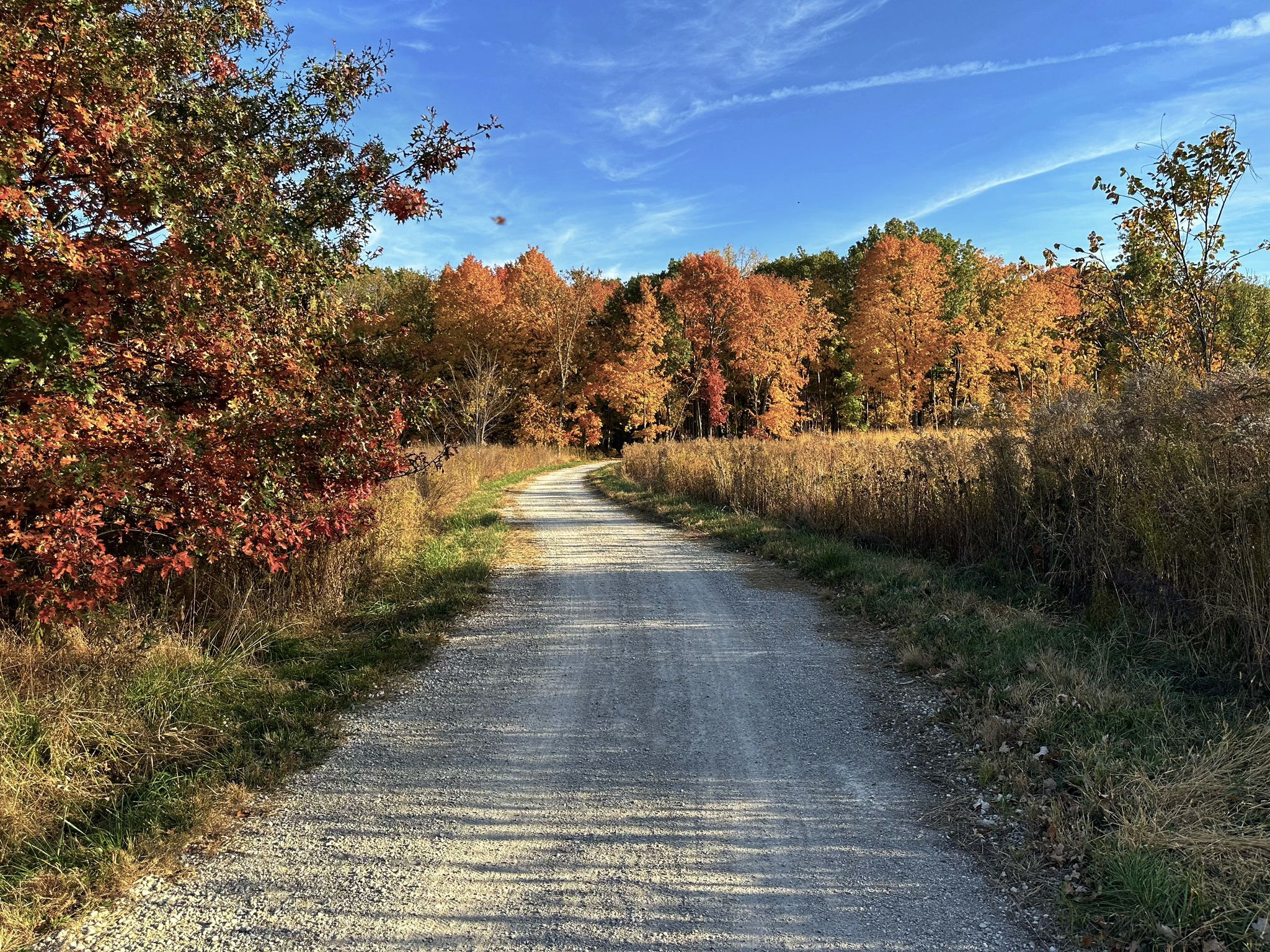 Gravel road winding through autumn trees and golden fields under blue sky. - Des Plaines River Trail
