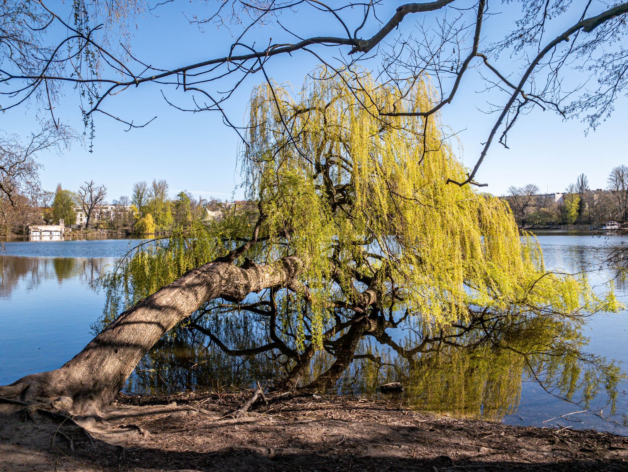Weißer See