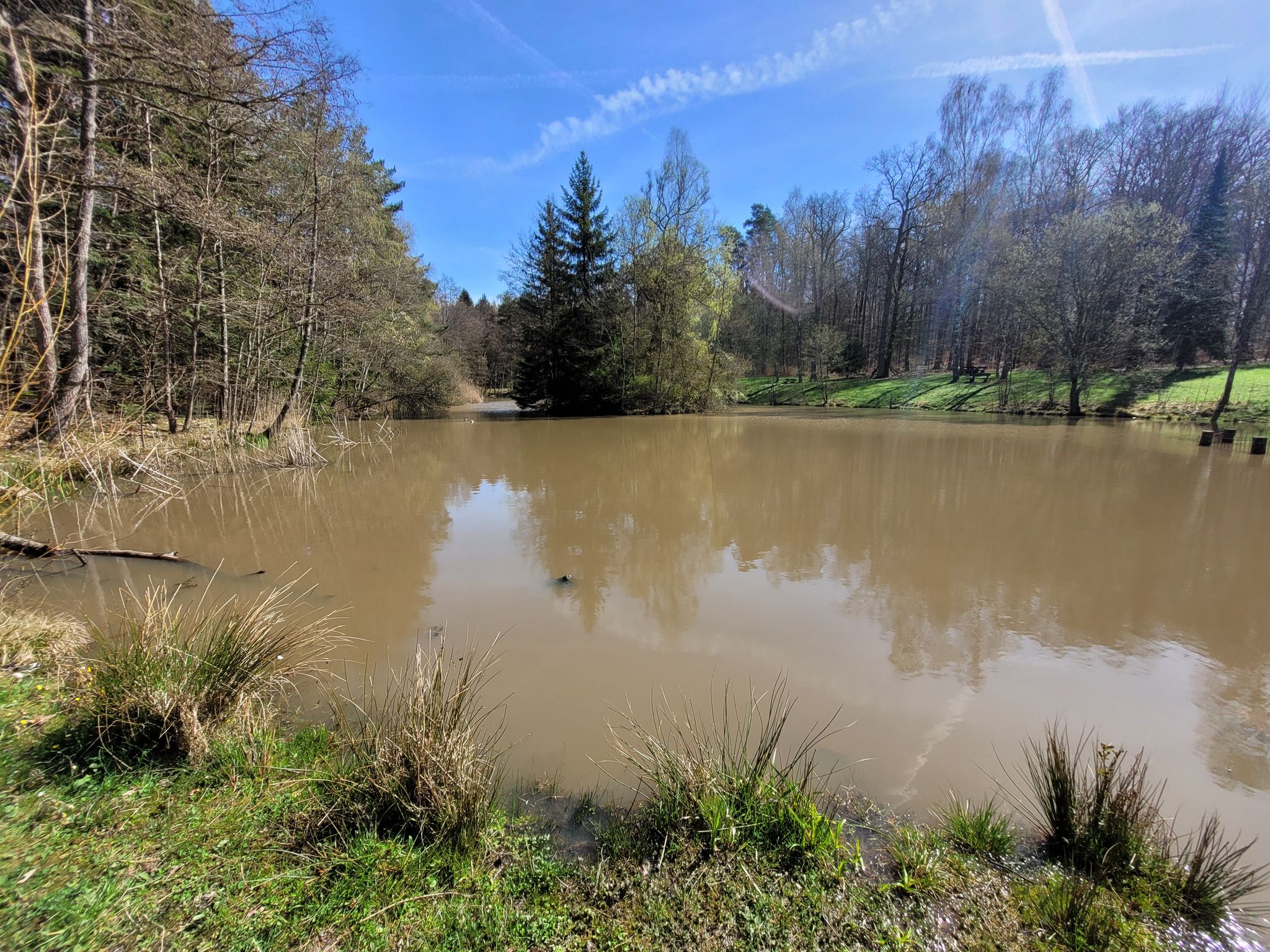 Kohlweiher im Schönbuch