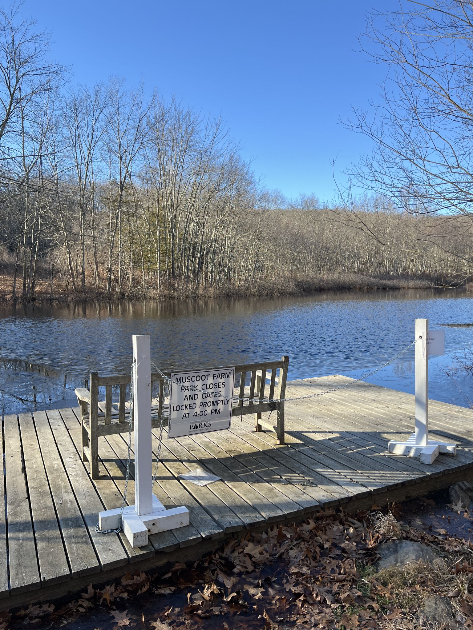 A wooden dock with a bench and sign overlooks a calm pond on a sunny day. - Running loop from Alfred B. DelBello Muscoot Farm