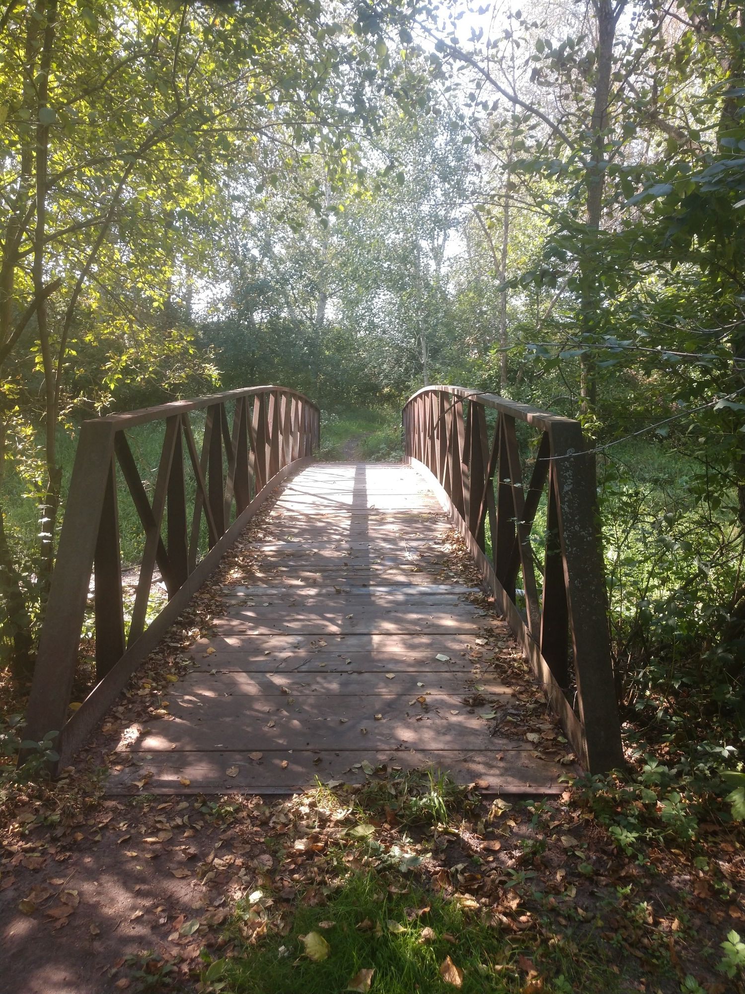 Secret Bridge